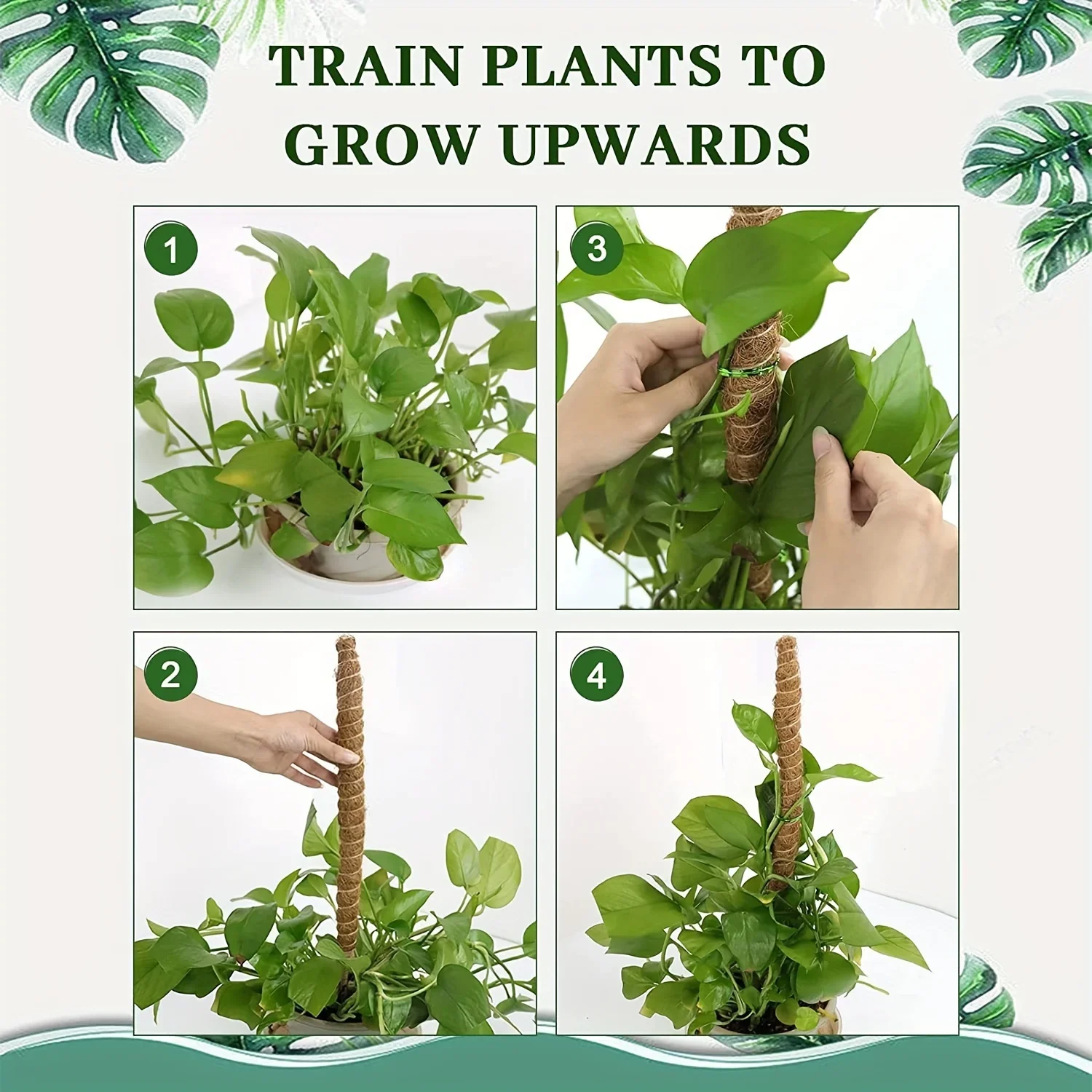 Bendable Moss Pole for Indoor Plants β Tall 23.6''/43.3'' Climbing Support for Monstera & More - Image 6