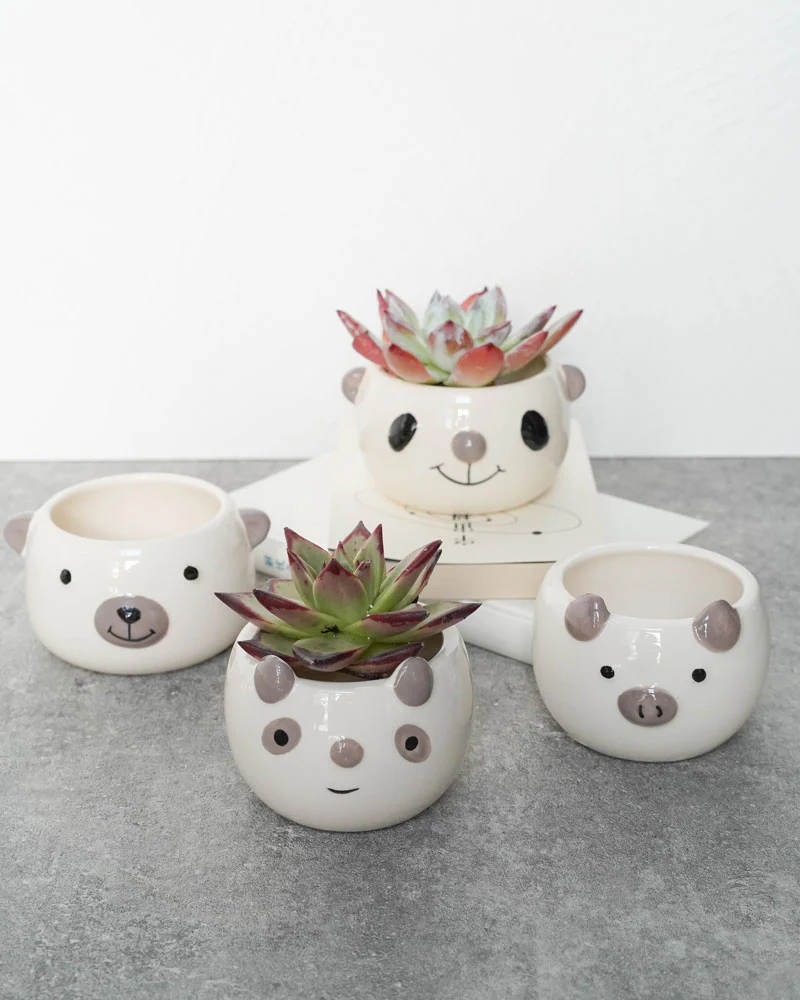 Animal Face Pots - Image 2
