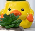 Animal Friends Series - Image 2