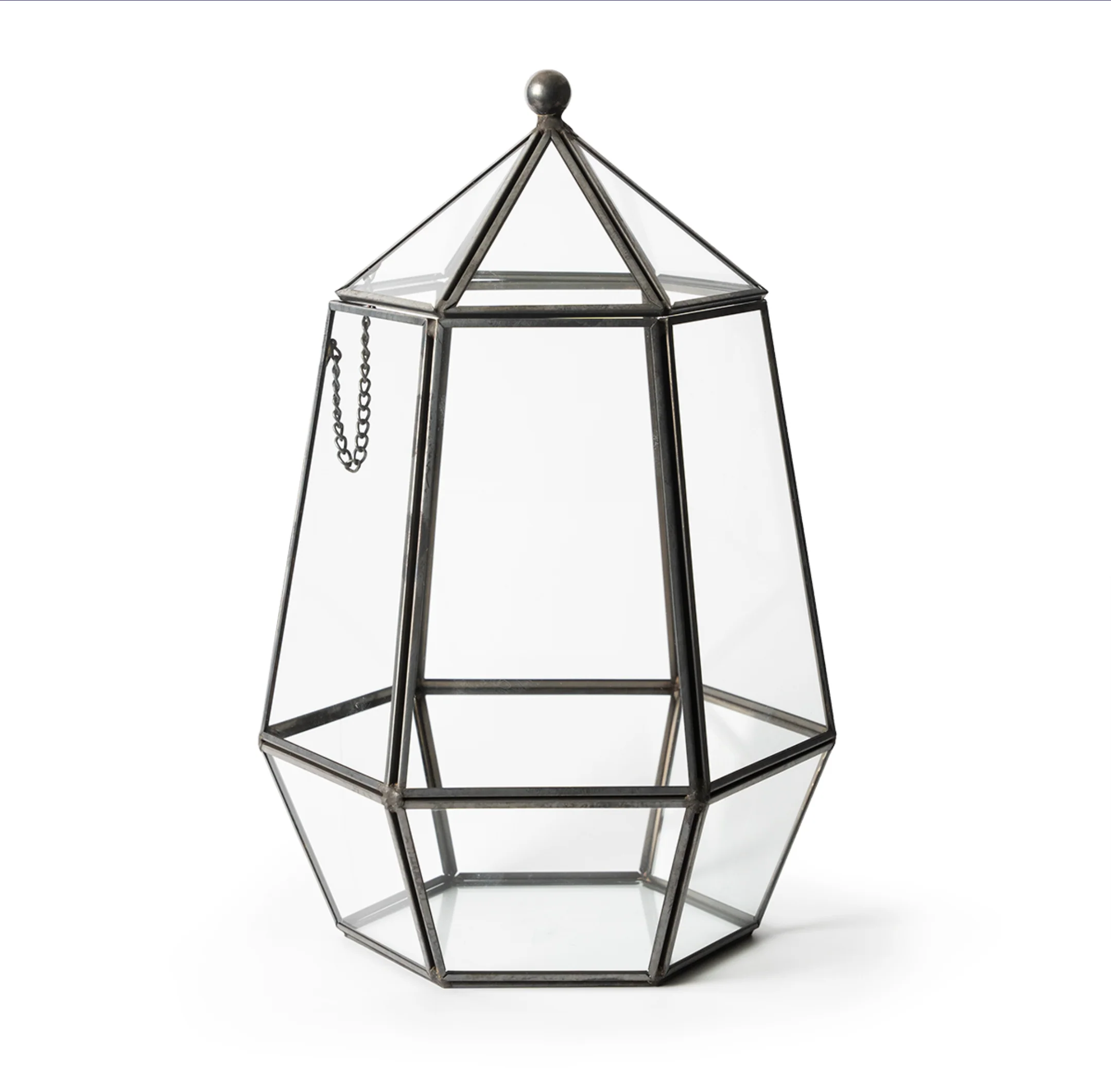 Atrium Terrarium
