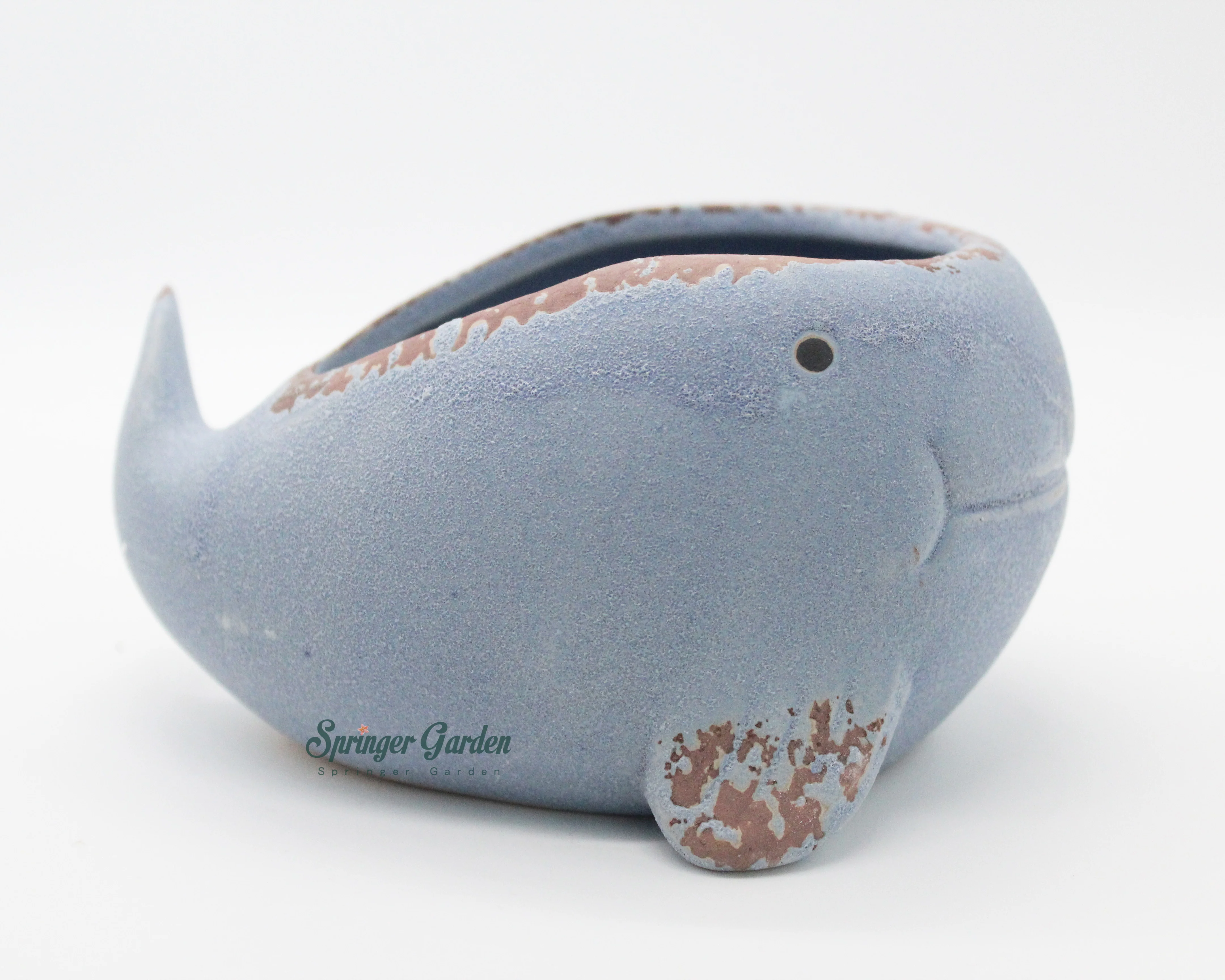 Whale Family - Image 6