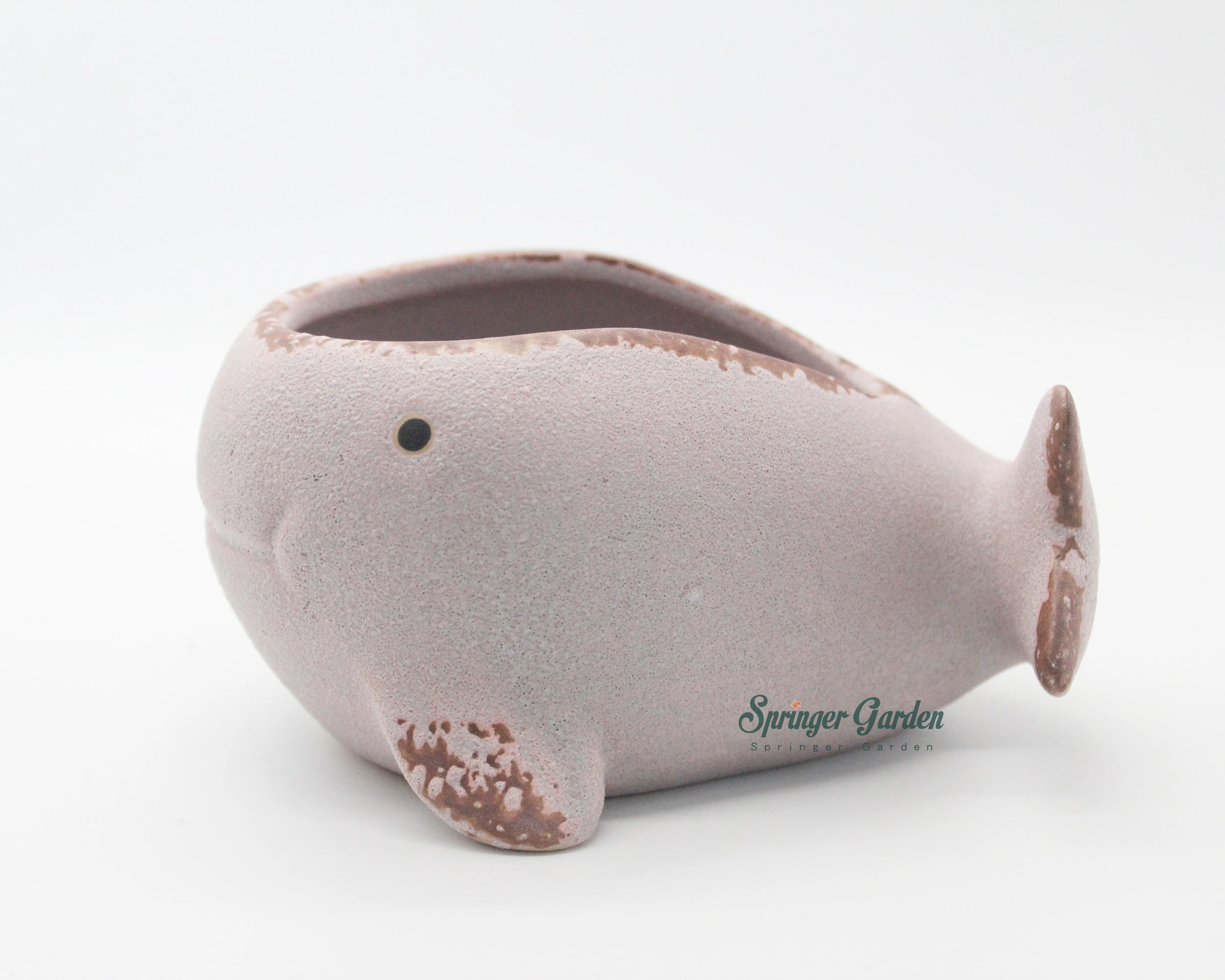 Whale Family - Image 8