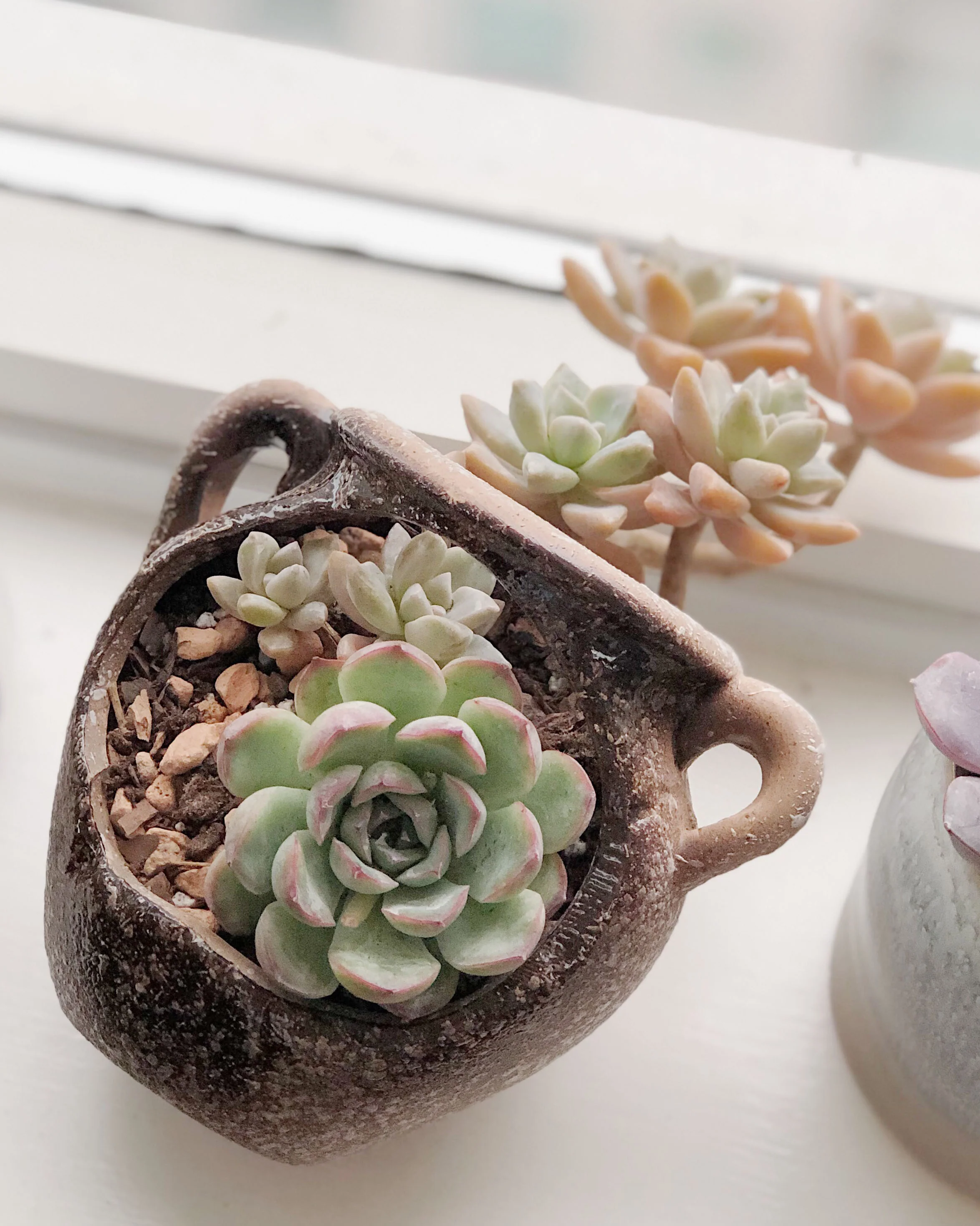 Broken Pot - Image 4