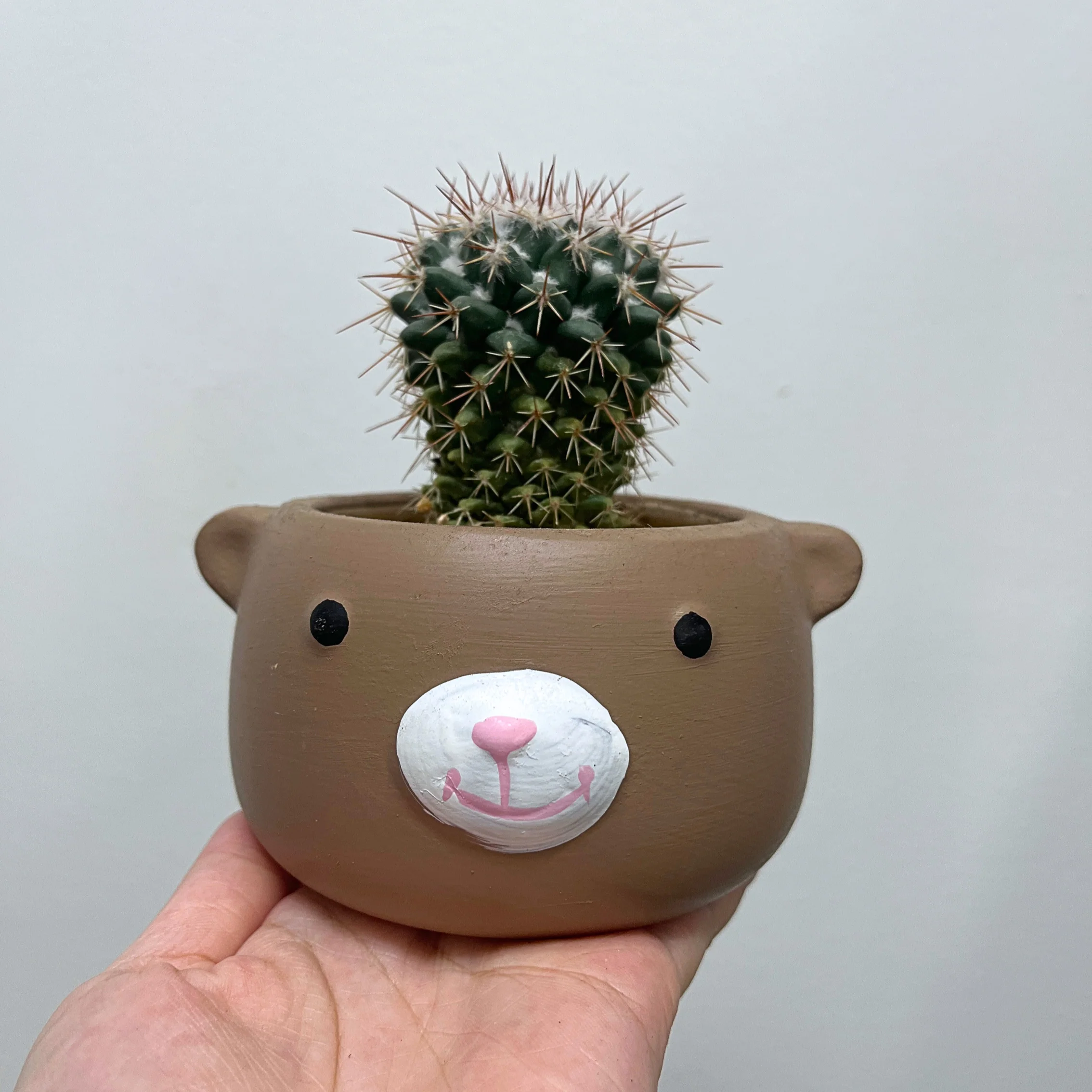 Cactus & Planter Bundle - Image 4