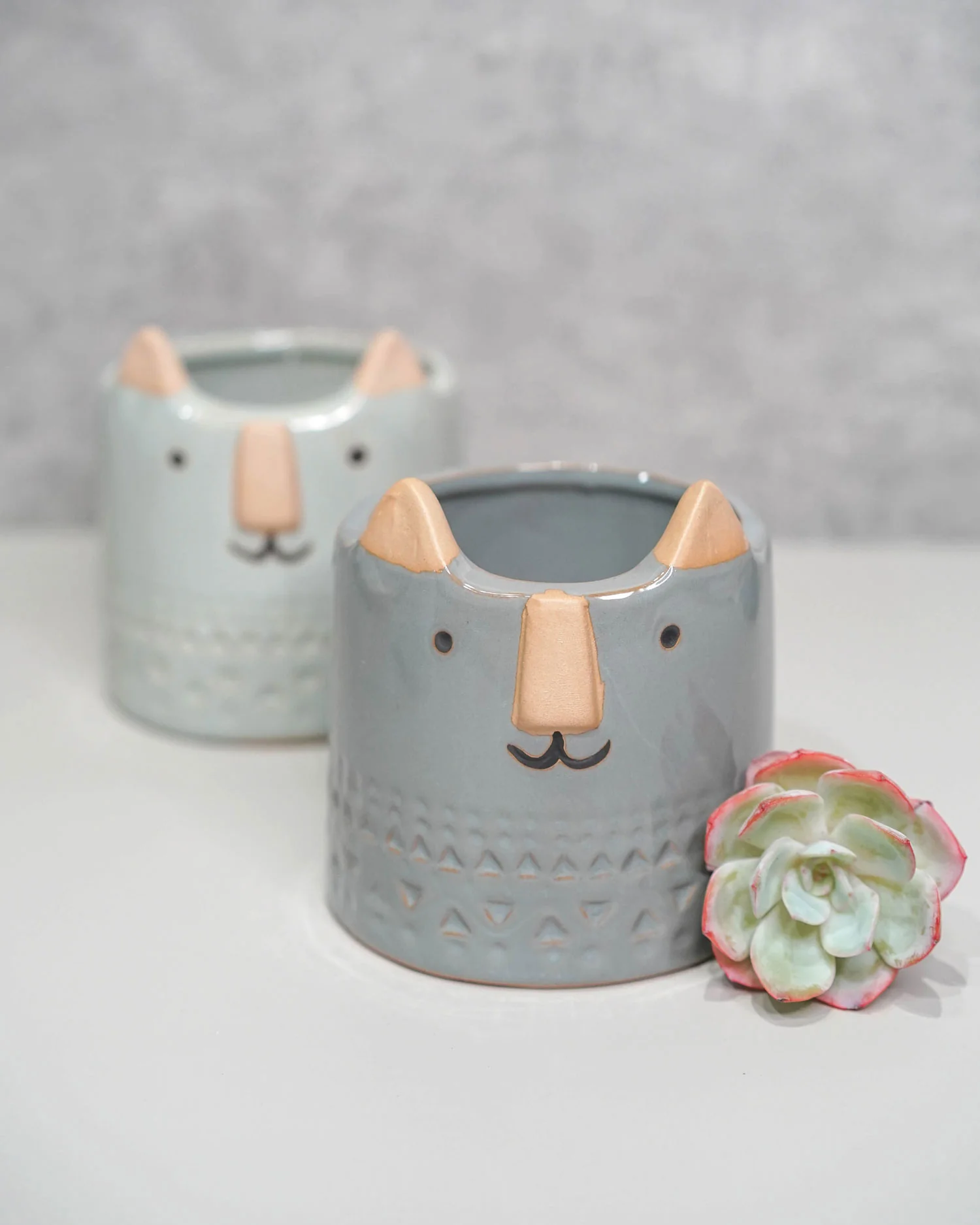 Cat Family with Unique Nose - Image 4