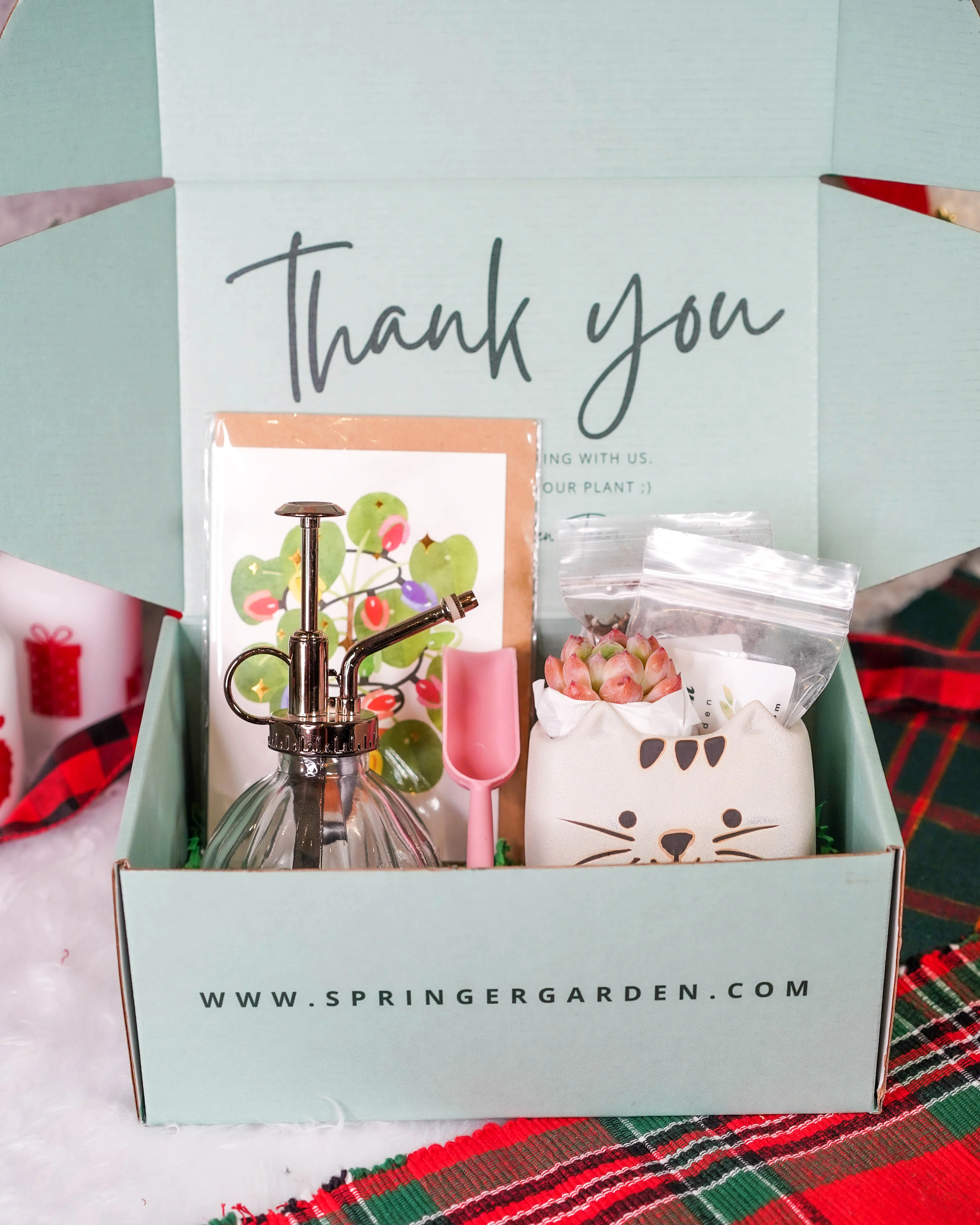 "Cat Parents" Premium Korean-Succulent Gift Box - Image 2