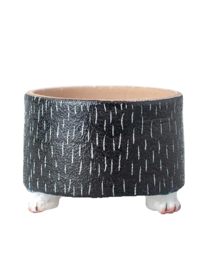 Cat Paw Black - Image 4