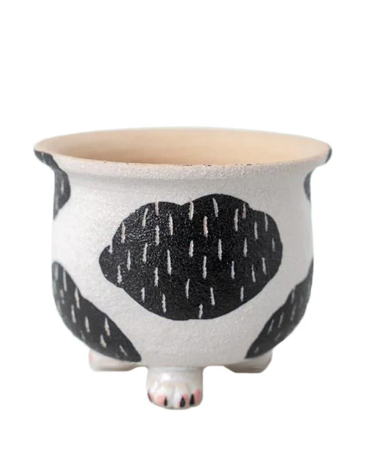 Cat Paw Panda - Image 4