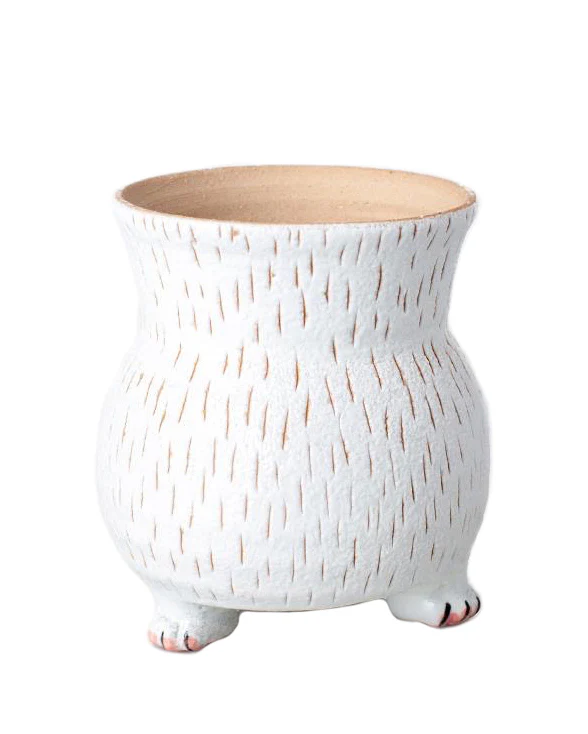 Cat Paw White - Image 5