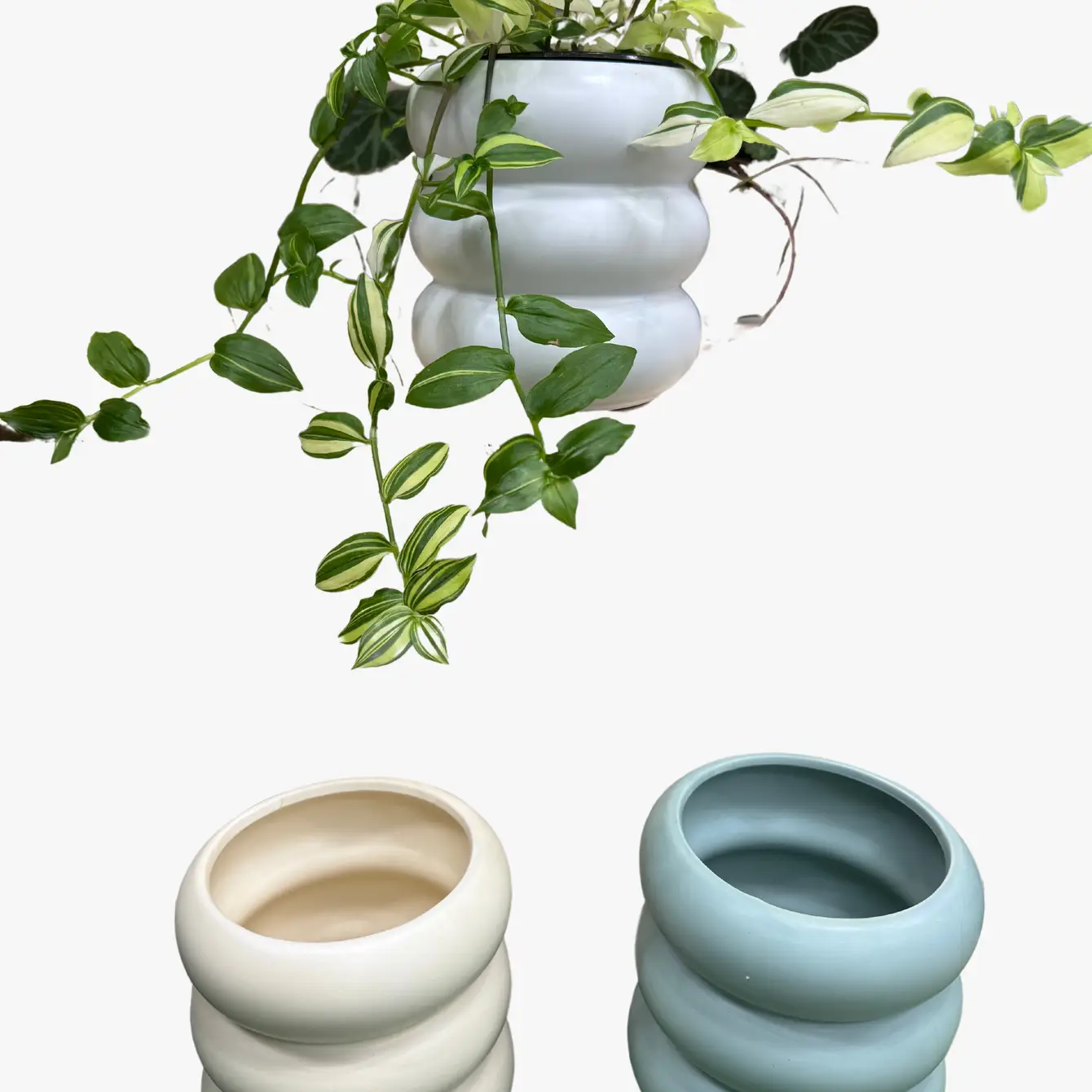 Color Ribbed Planter - Image 2