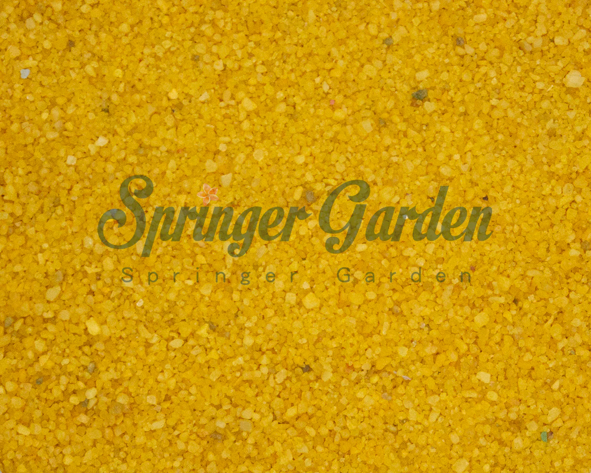 Colored Sands - Image 5