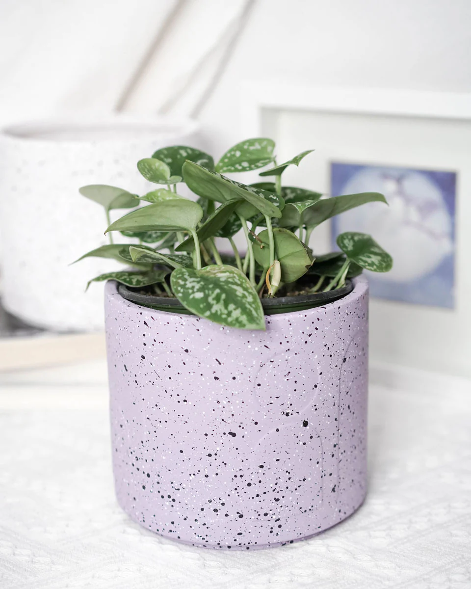 Column Pot - Image 2