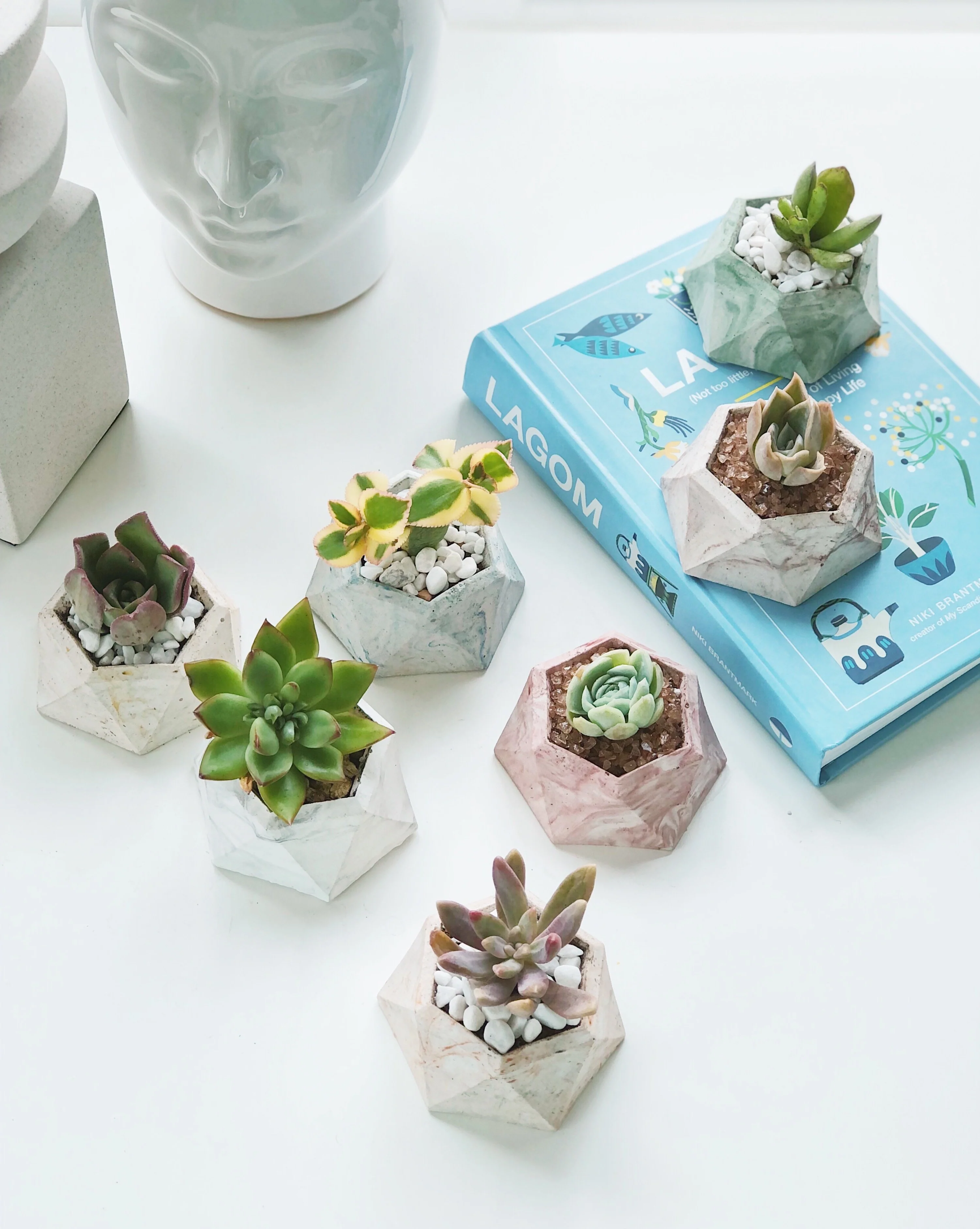 Concrete Planter Making Workshop - Image 2