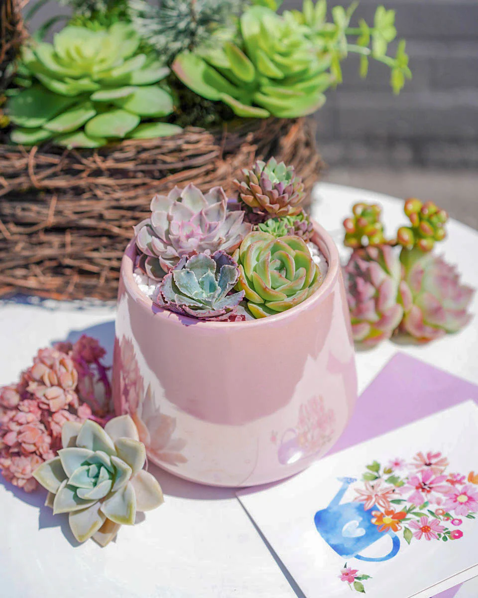 "Love Blooms" Succulent Flower Boutique Pink - Image 2