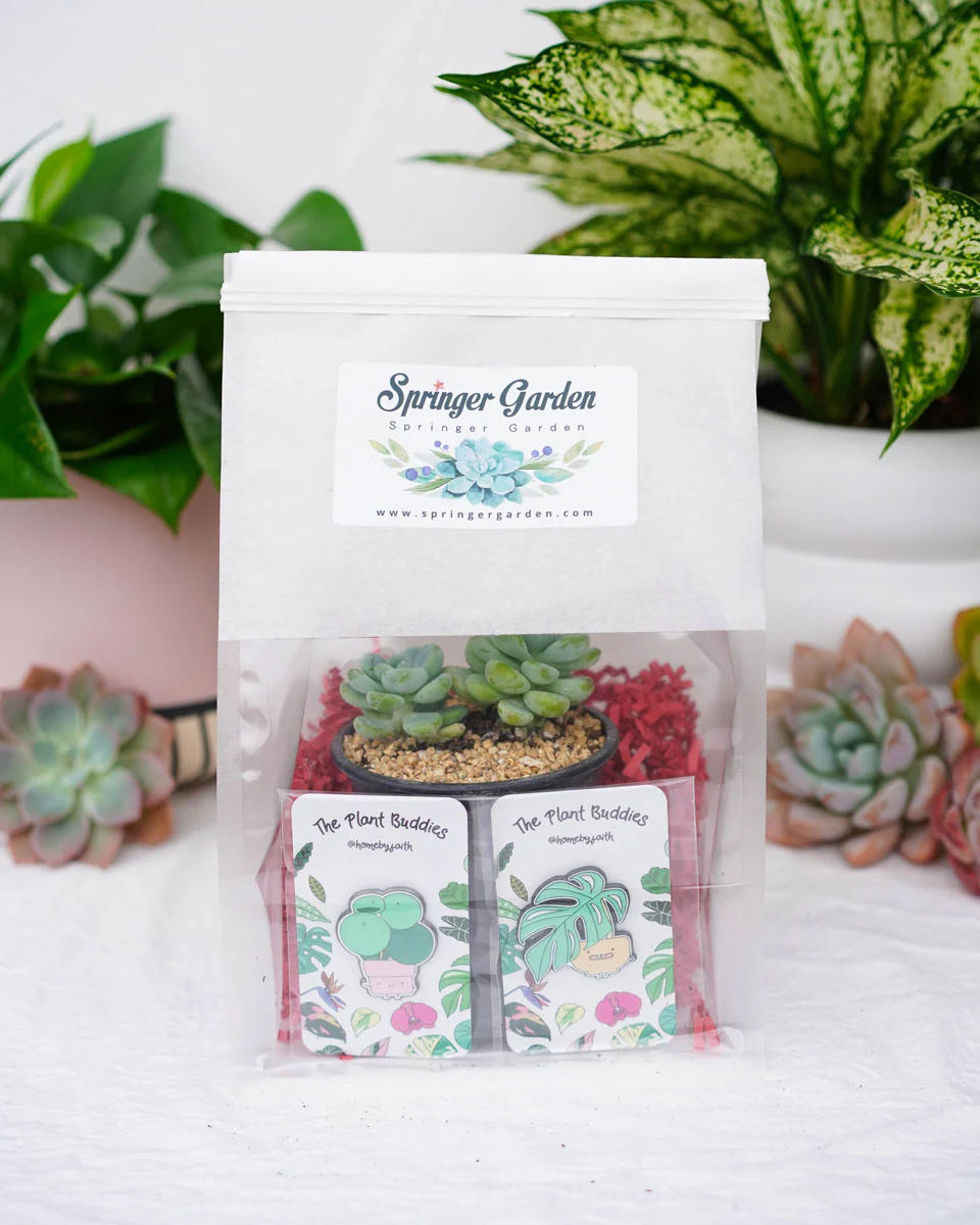 "Love Will Grow" Pins Gift Bag - Image 2