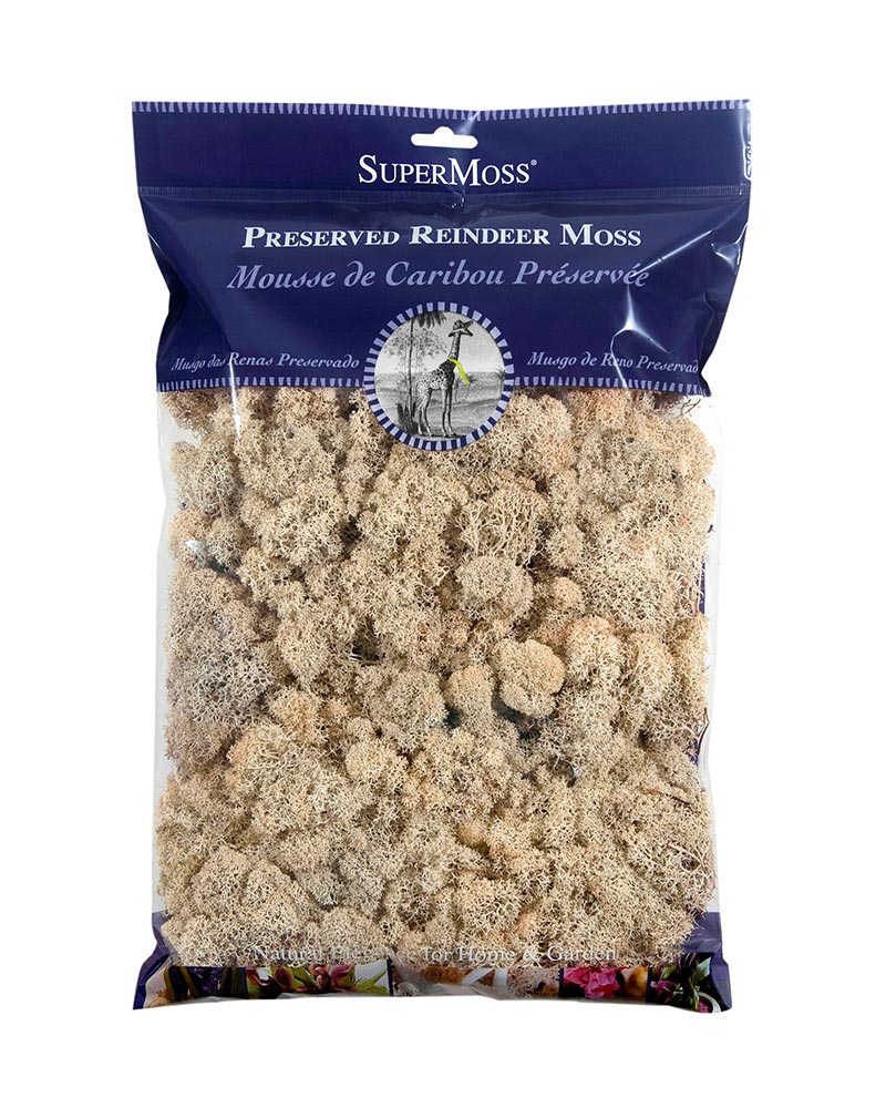 Reindeer Moss 325 cu. in. - Image 2