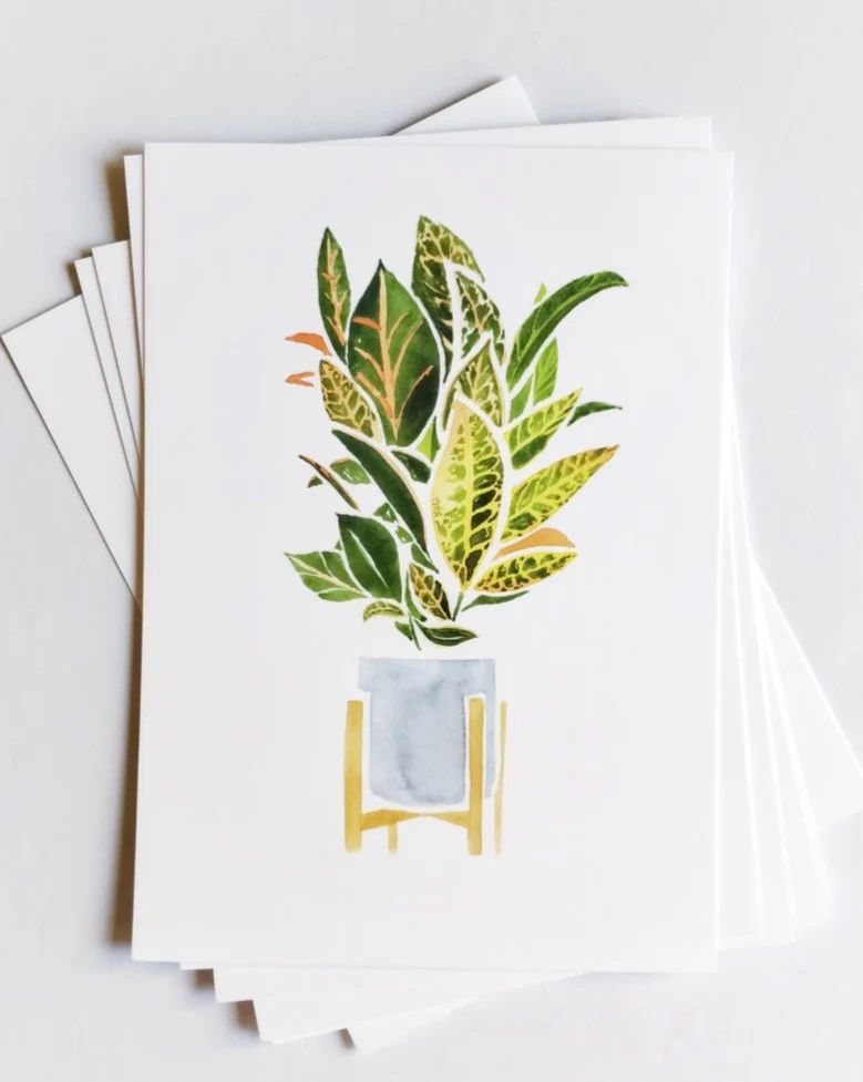 Croton