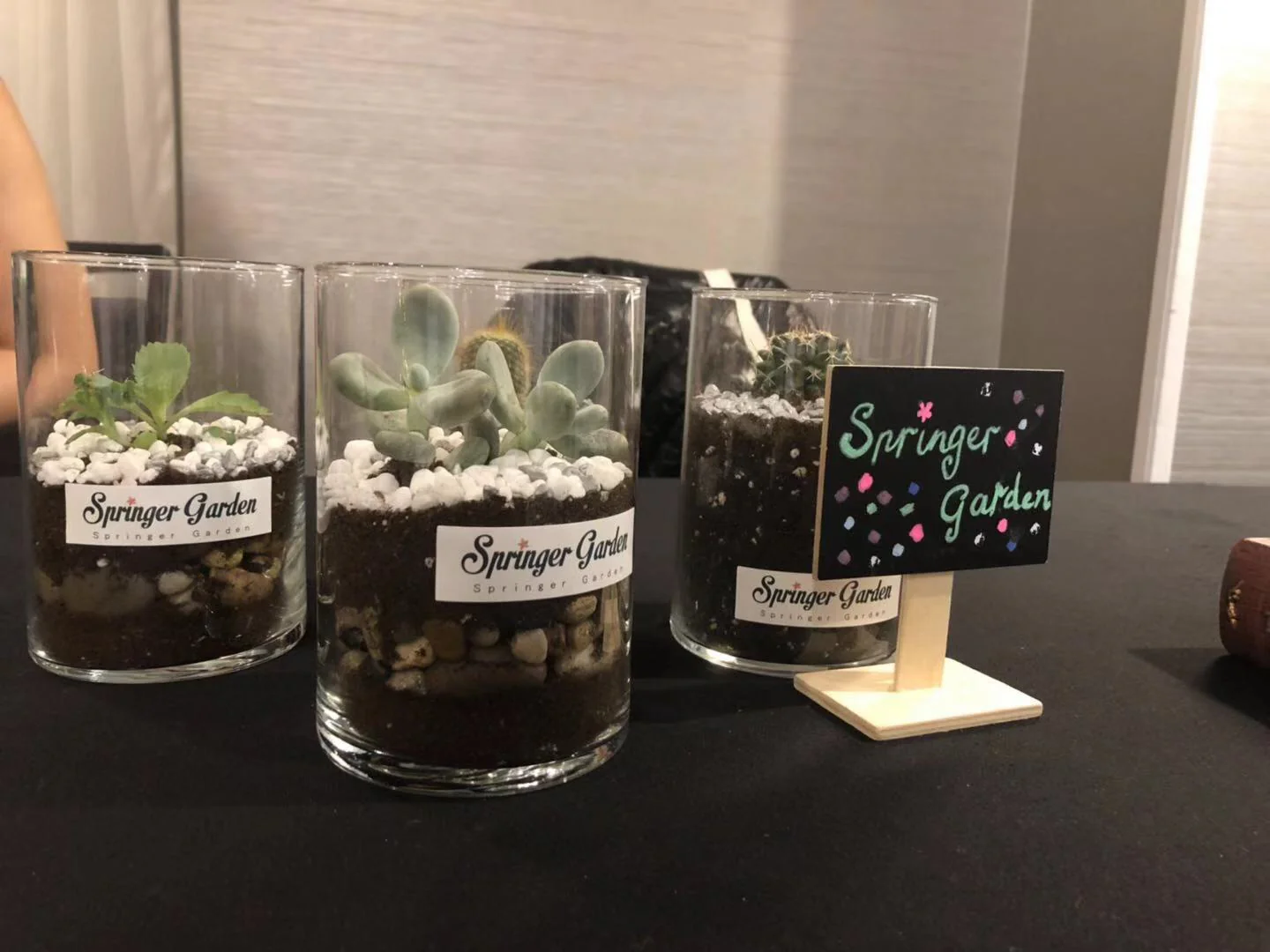 Cylinder Glass Terrarium - Image 2