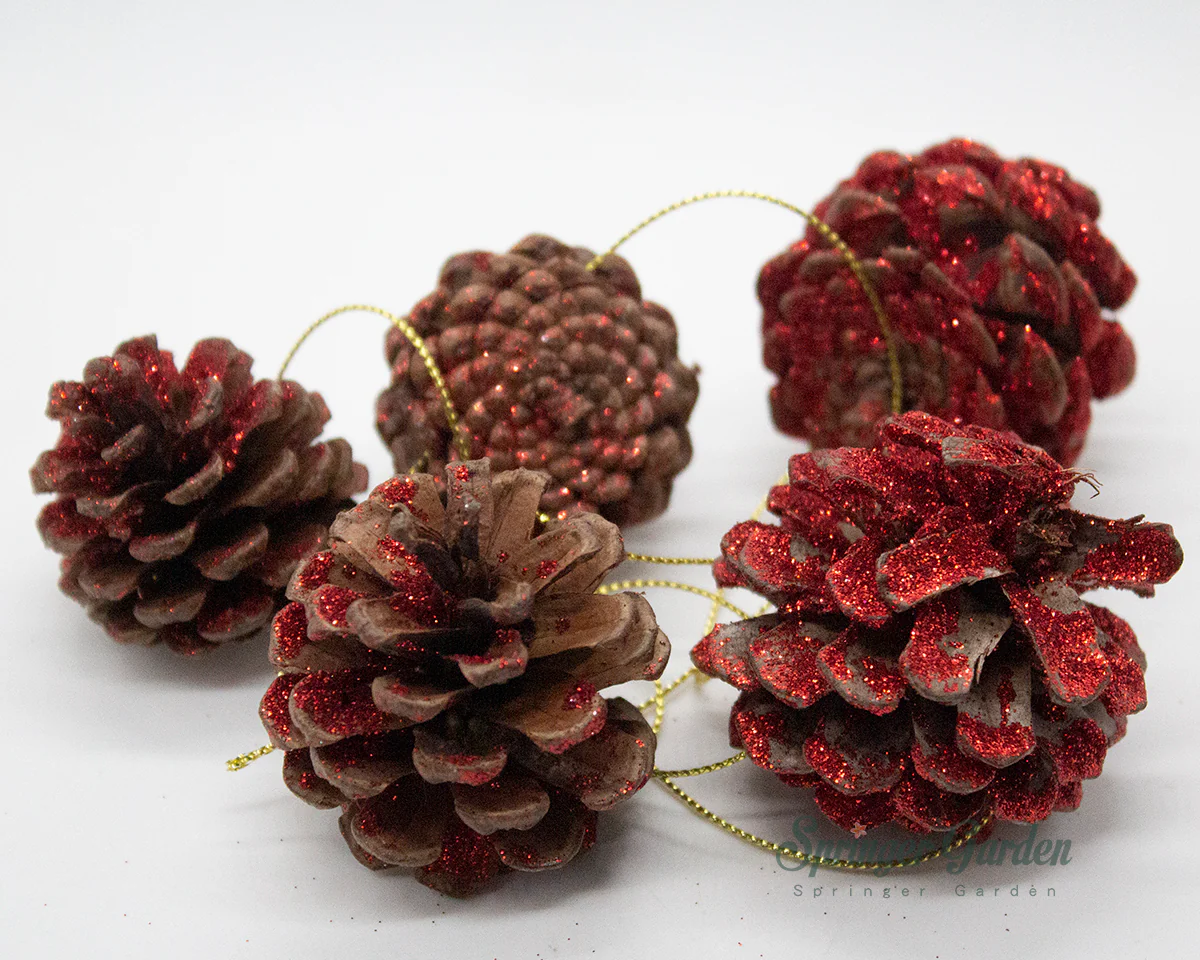 Micro Landscape / Card Holder - Image 8
