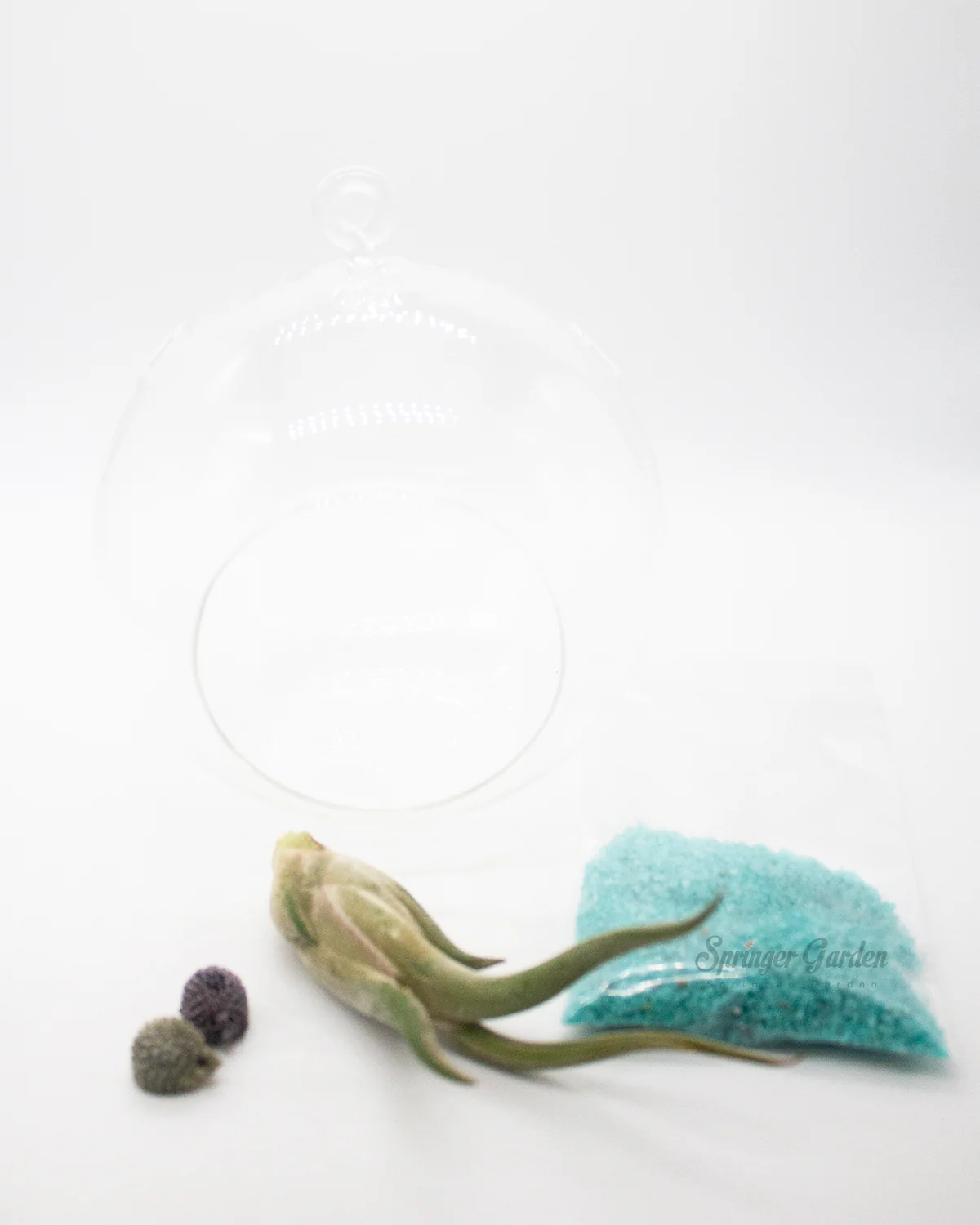 DIY Airplant Terrarium Kit - Hanging Globe - Image 2