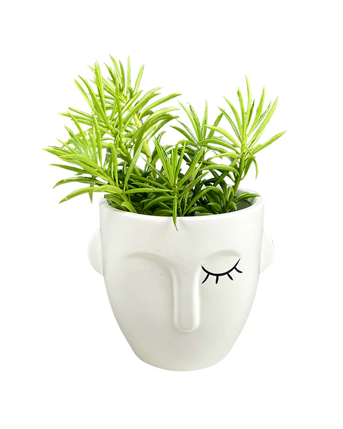Eyelash - Image 4
