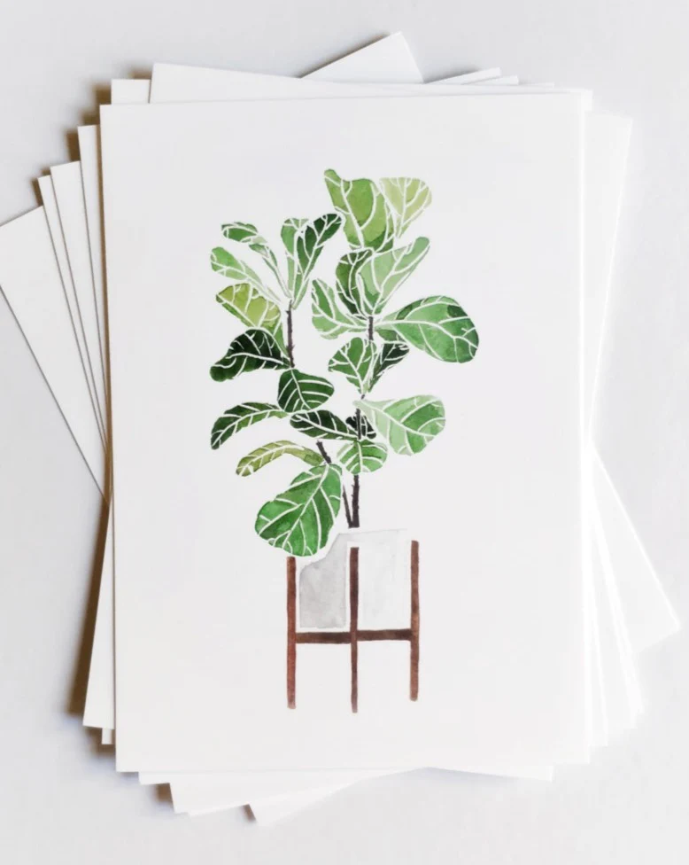 Fiddleleaf