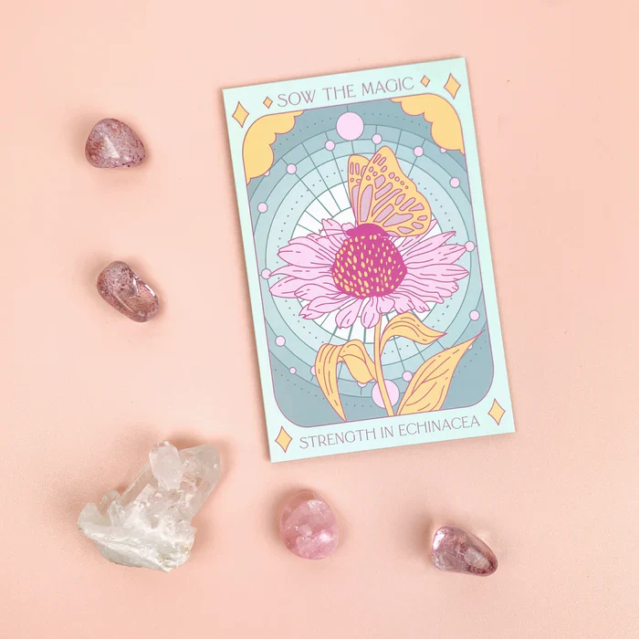 Tarot Flower & Vegetable Seed Collection - Image 12