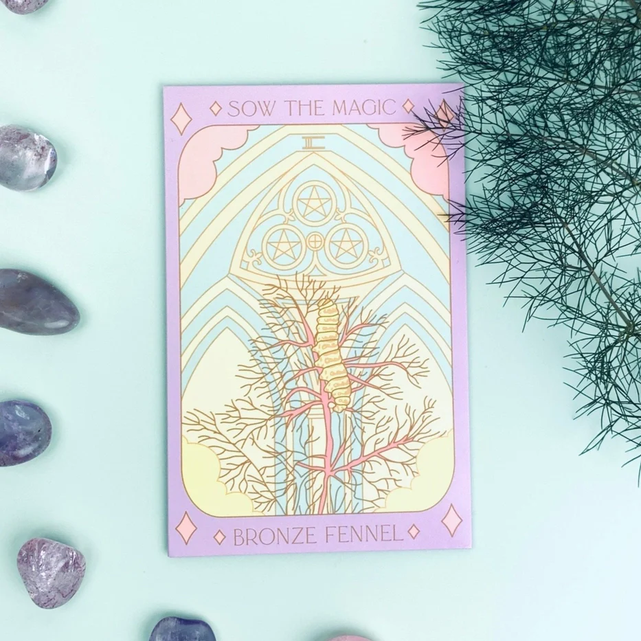 Tarot Flower & Vegetable Seed Collection - Image 7