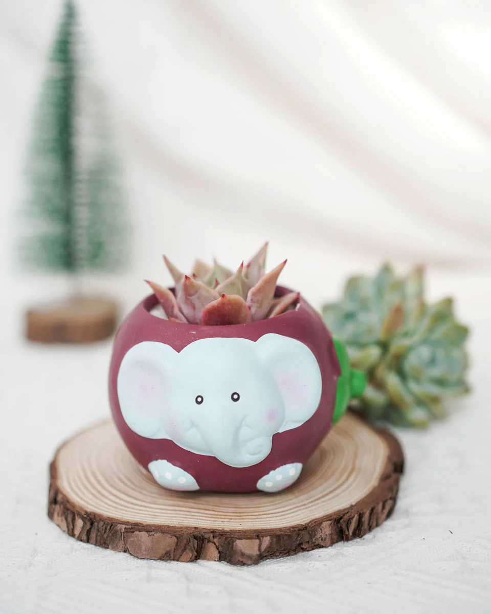 Fruit Animal - Image 4