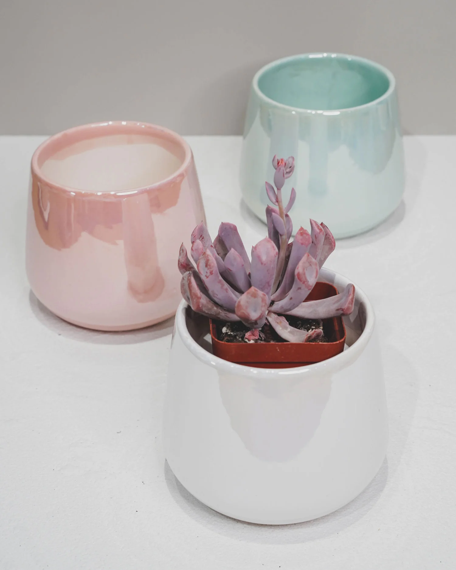 Glass Glazed Shooting Star - Image 5