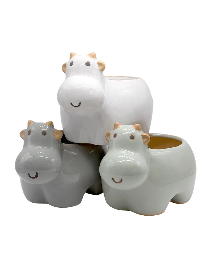 Glazed Hippo - Image 2