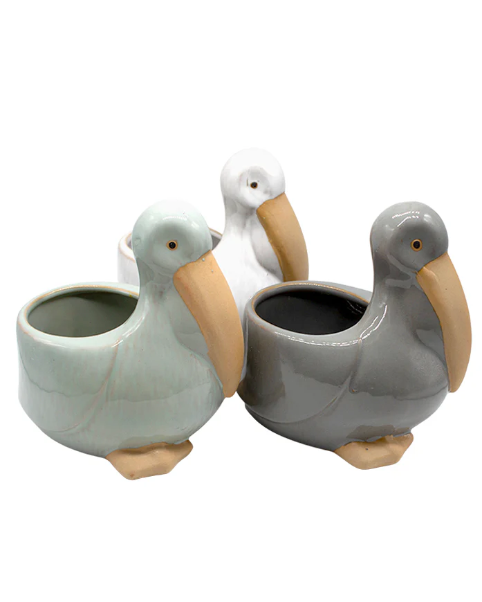 Glazed Pelican - Image 2