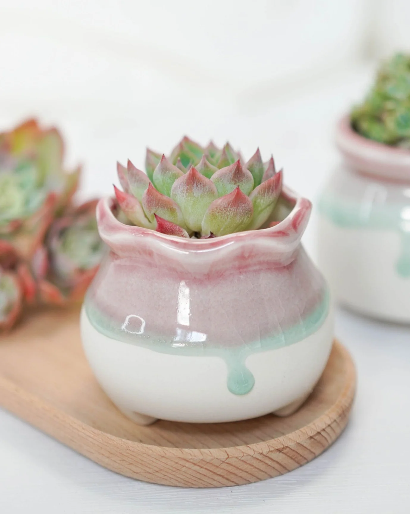 Glazed Pink Bun.6