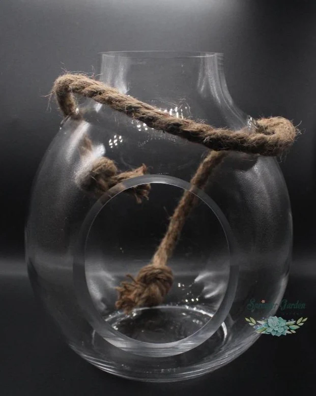 Hanging Glass Terrarium / Planter