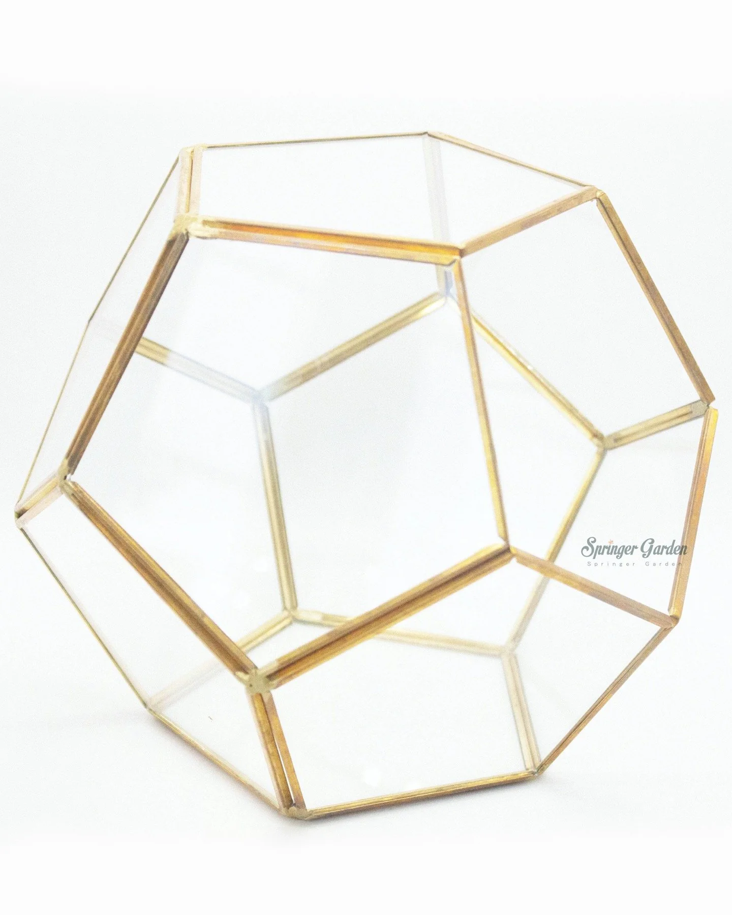 Golden Football Geometric Terrarium