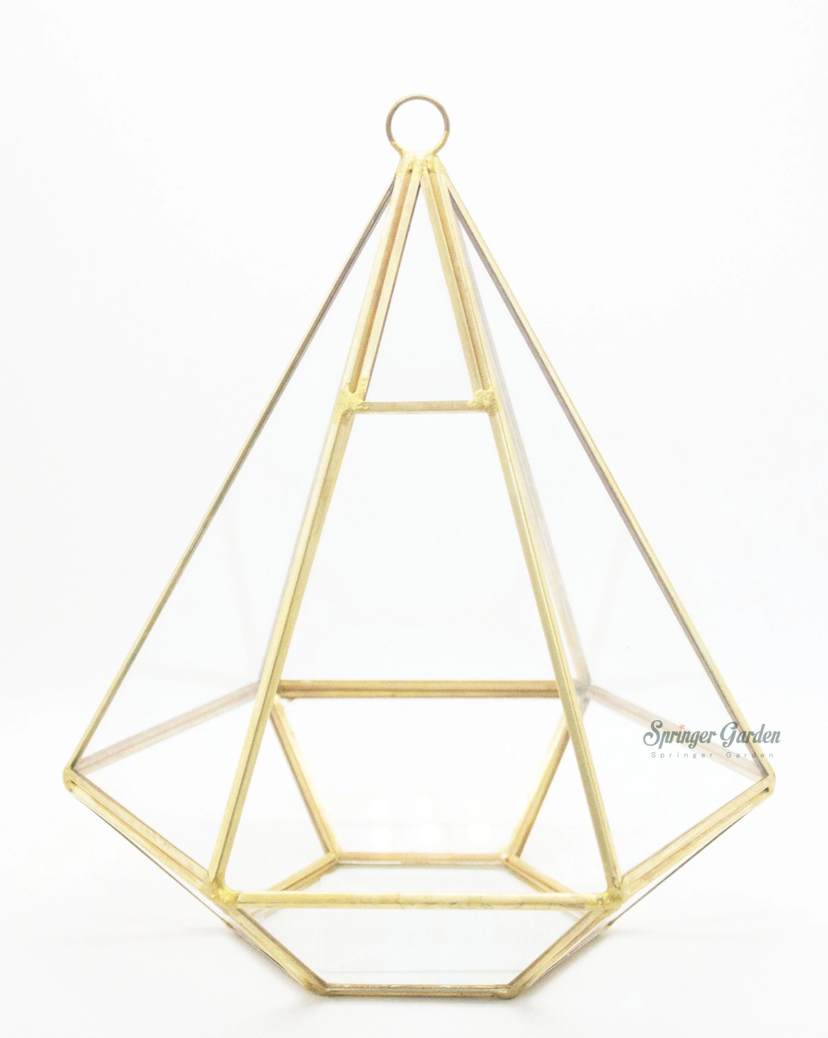 Golden Palace Geometric Terrarium