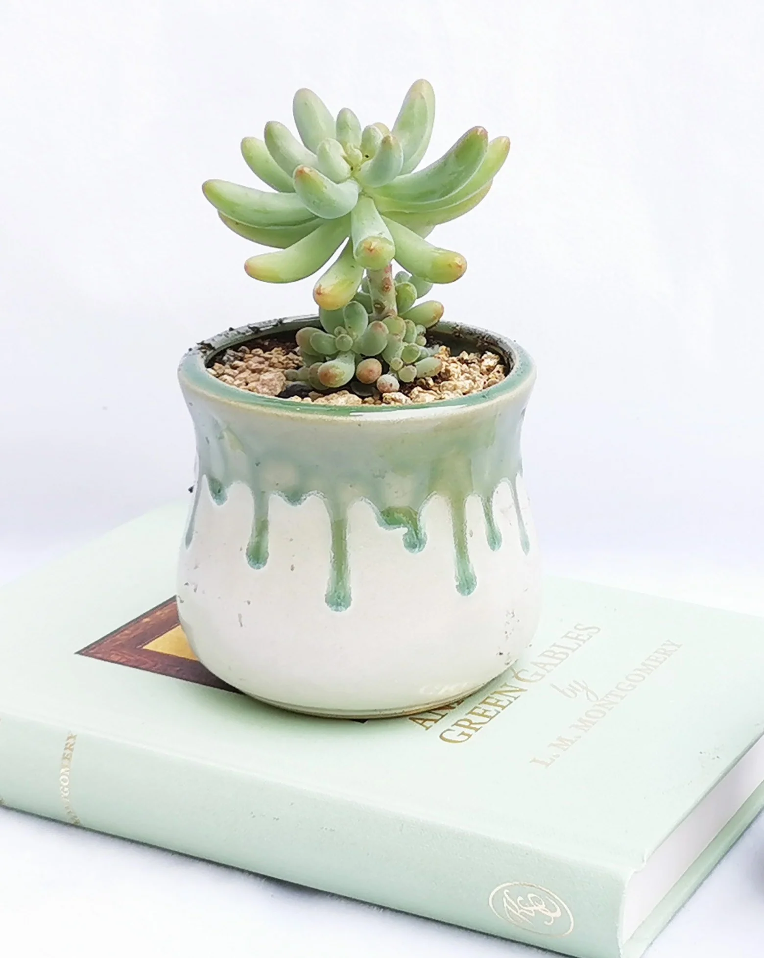 Light Green - Image 3
