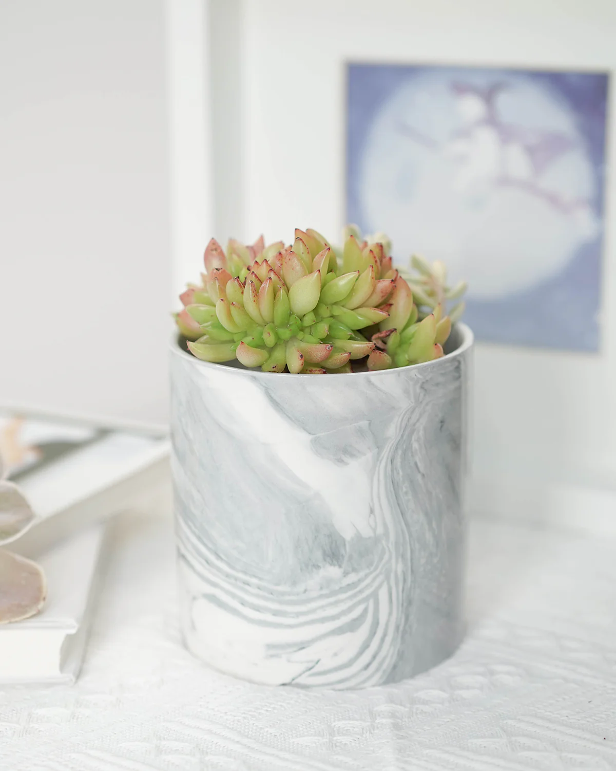 Marble Texture Pot 2