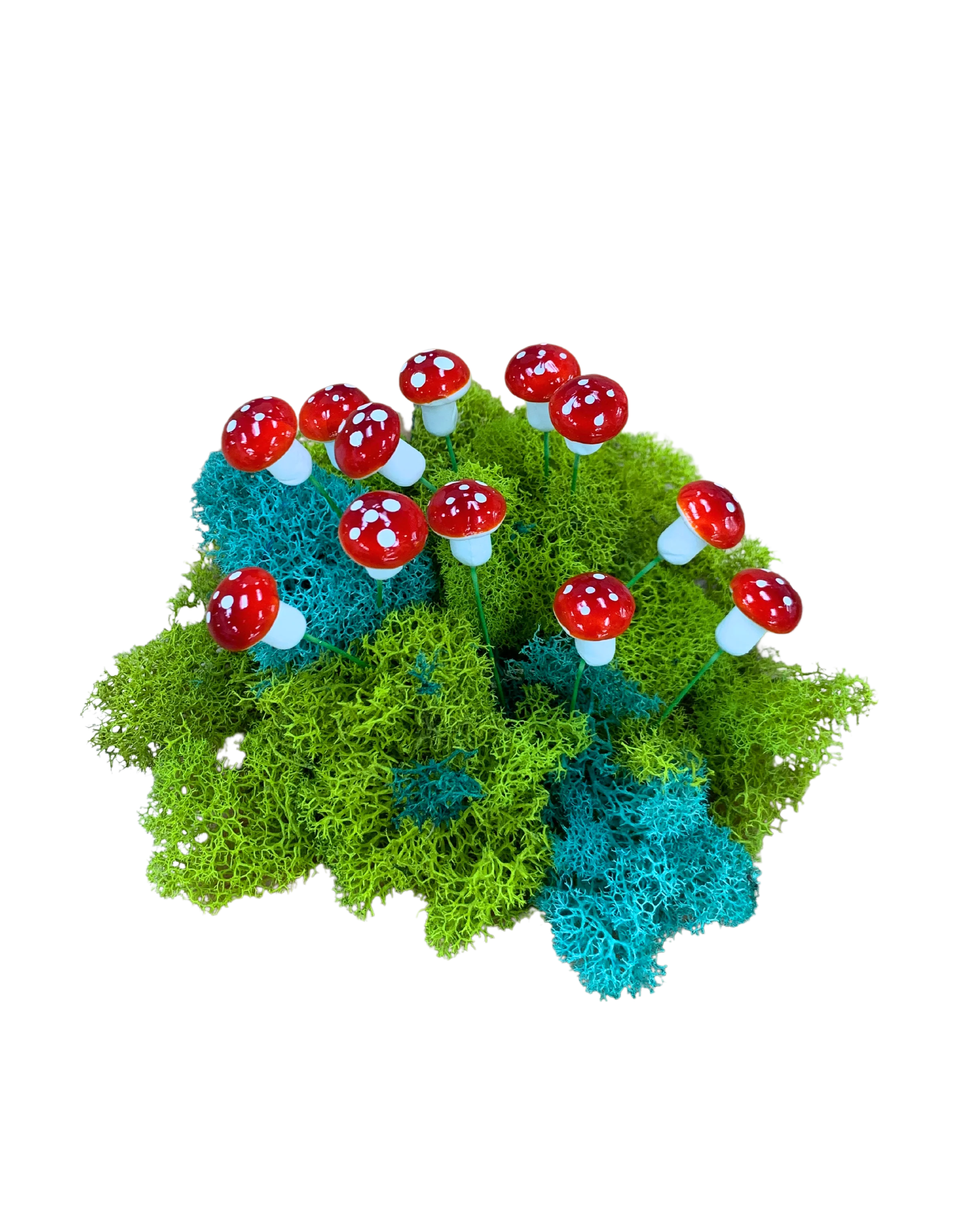 Micro Succulent Decoration - Image 10