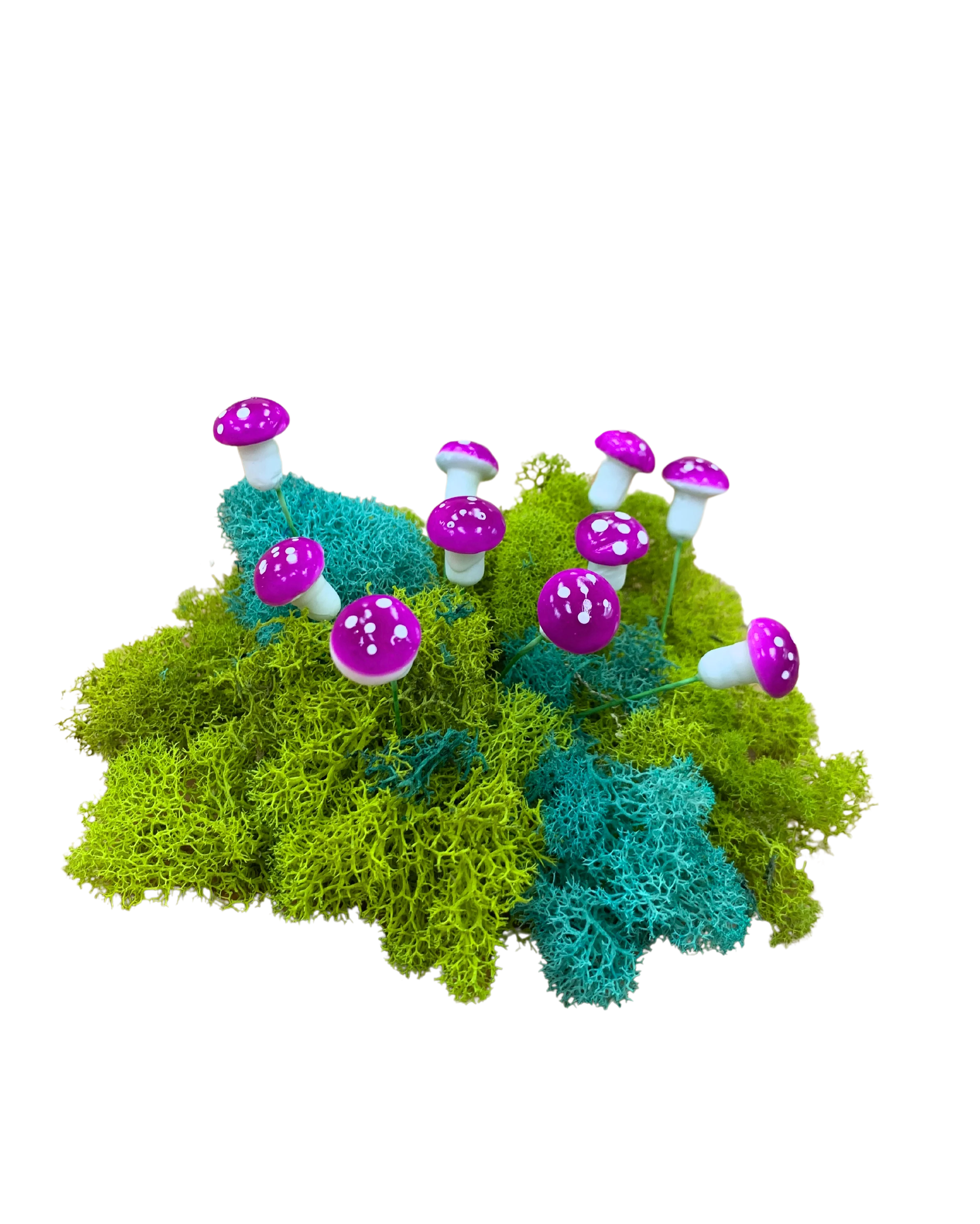 Micro Succulent Decoration - Image 12