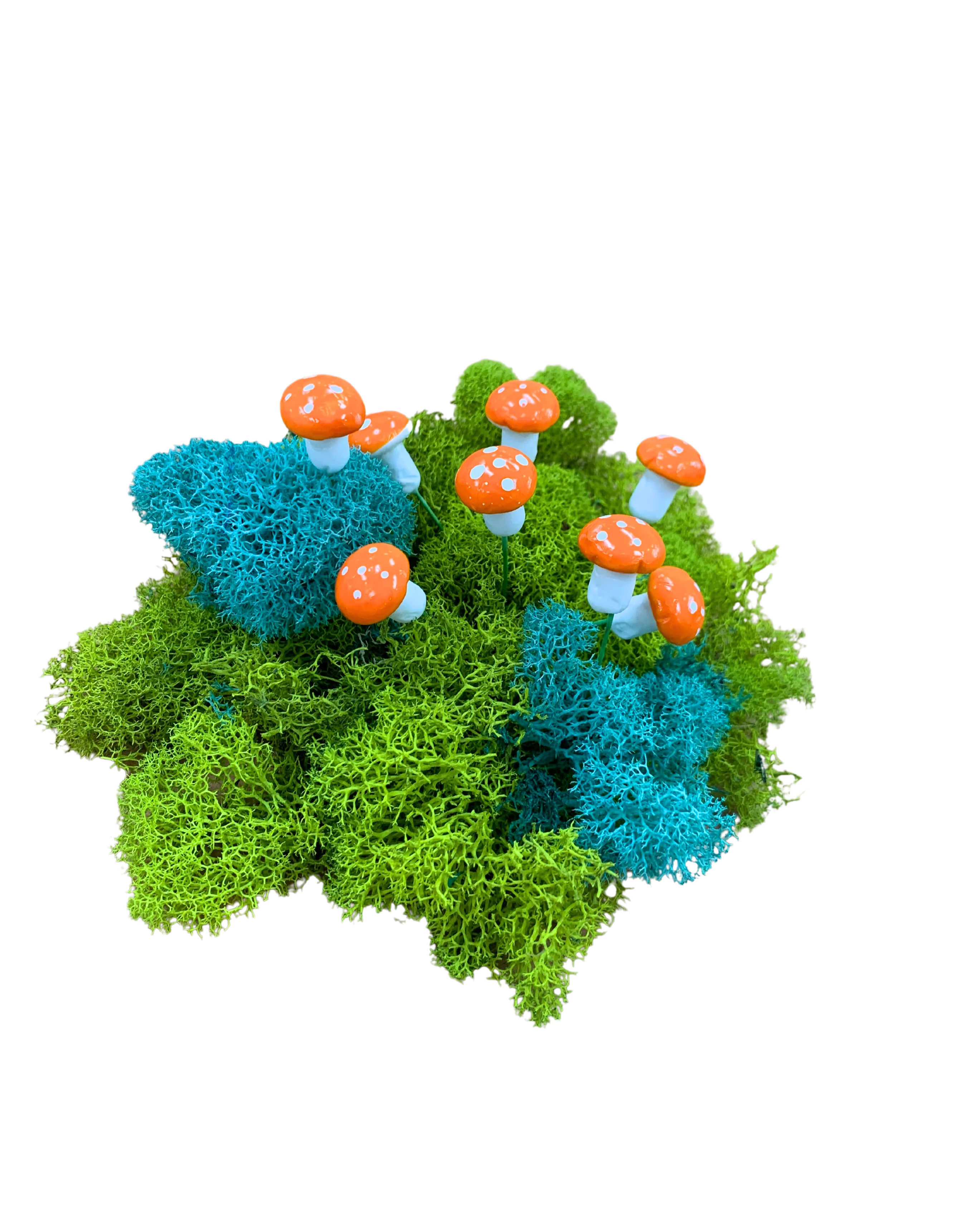 Micro Succulent Decoration - Image 13