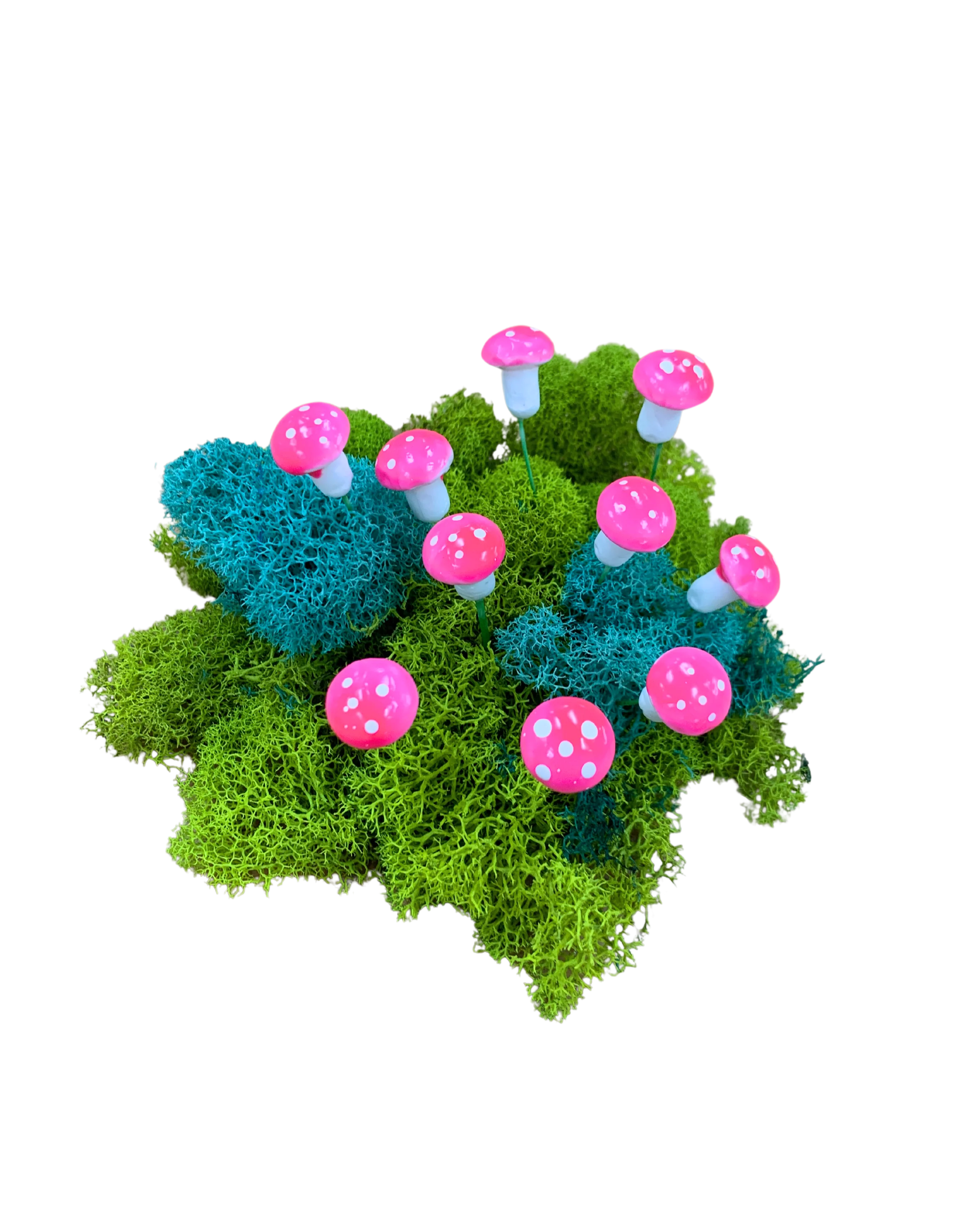 Micro Succulent Decoration - Image 14