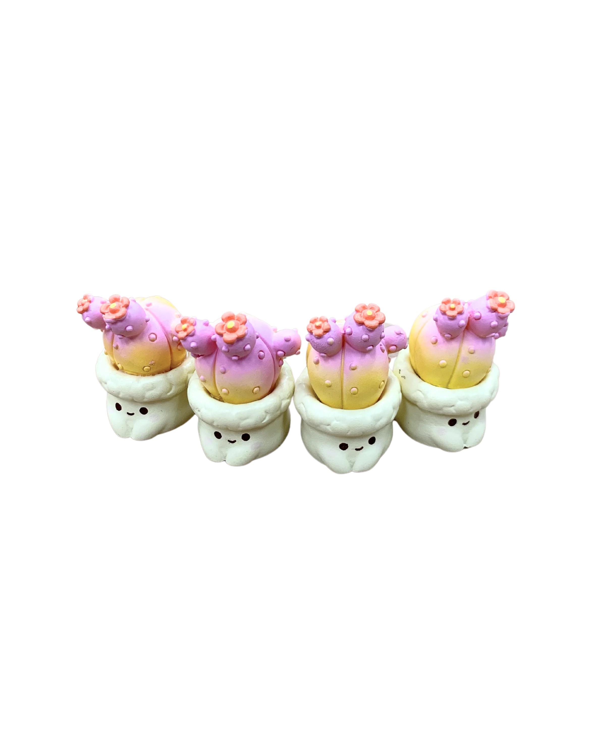 Micro Succulent Decoration - Image 4