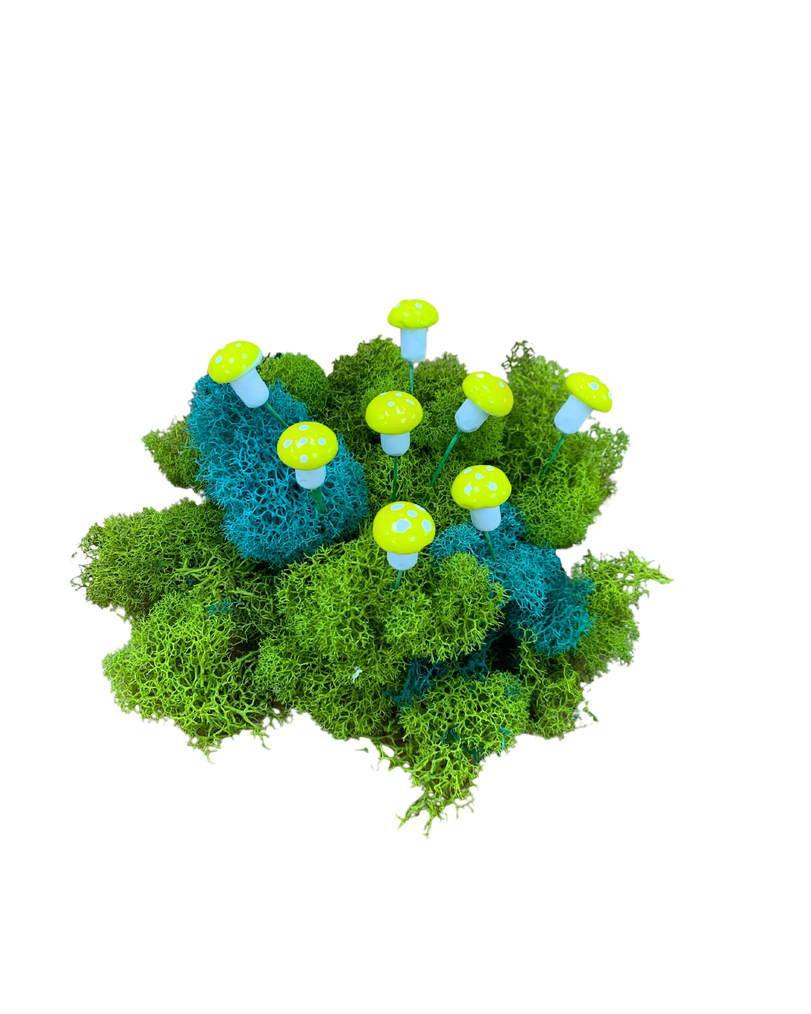 Micro Succulent Decoration - Image 8