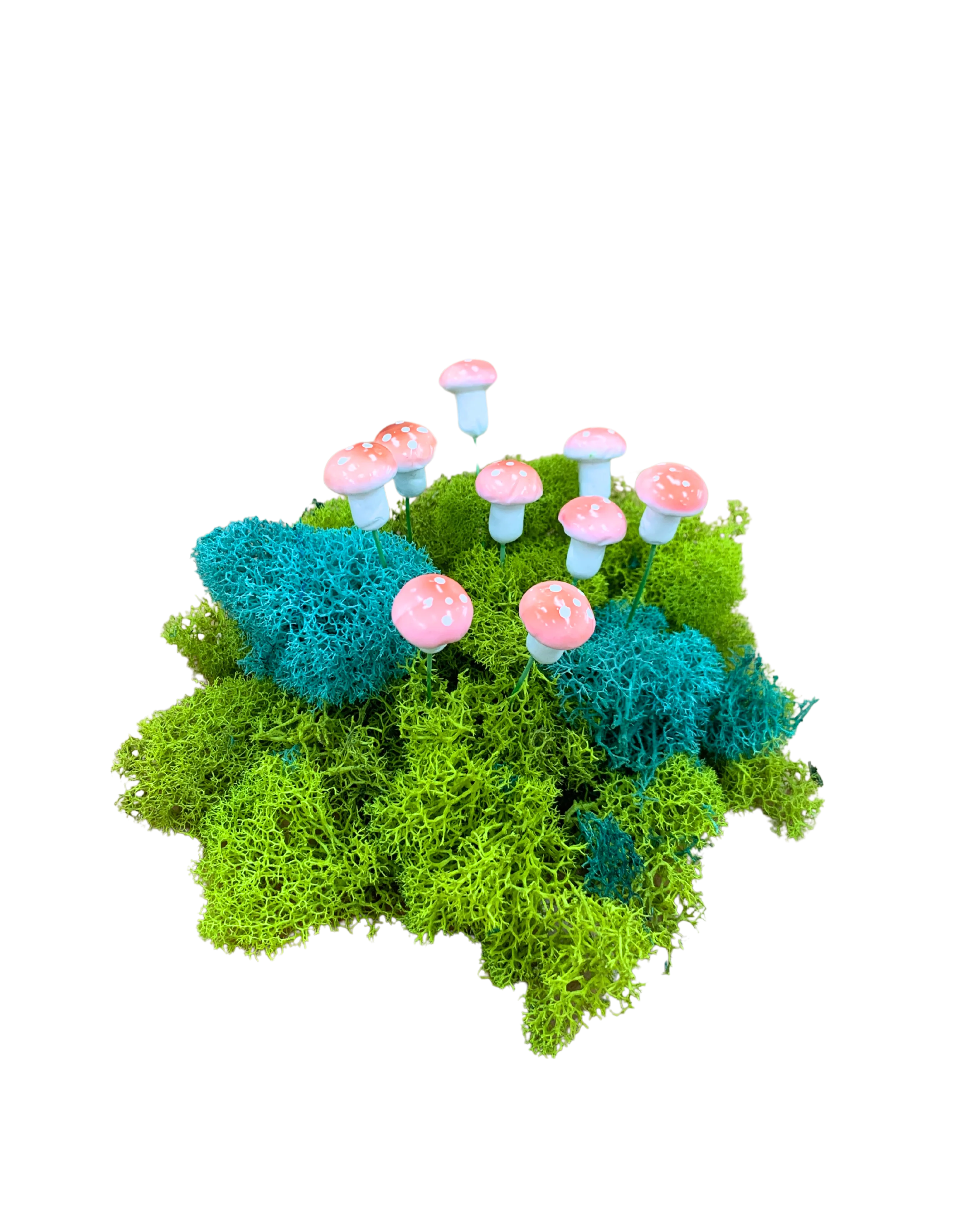 Micro Succulent Decoration - Image 9