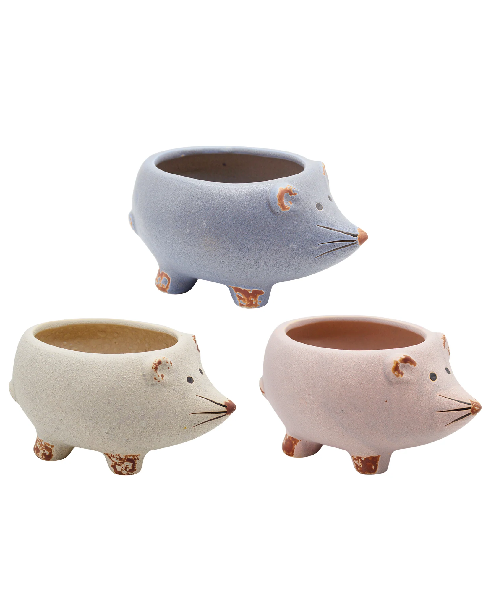 Hedgehog Family - Image 2