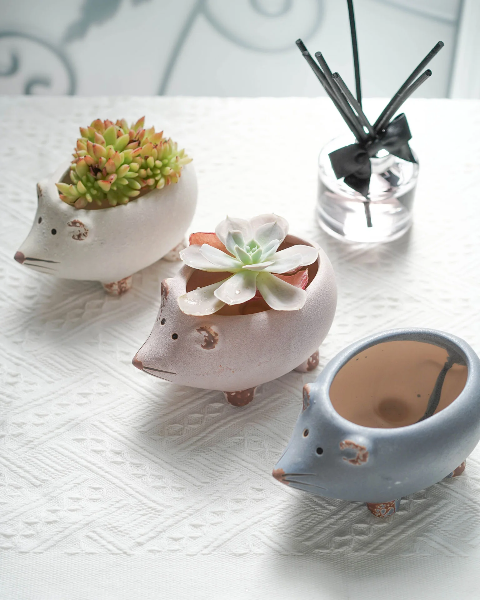 Hedgehog Family - Image 3