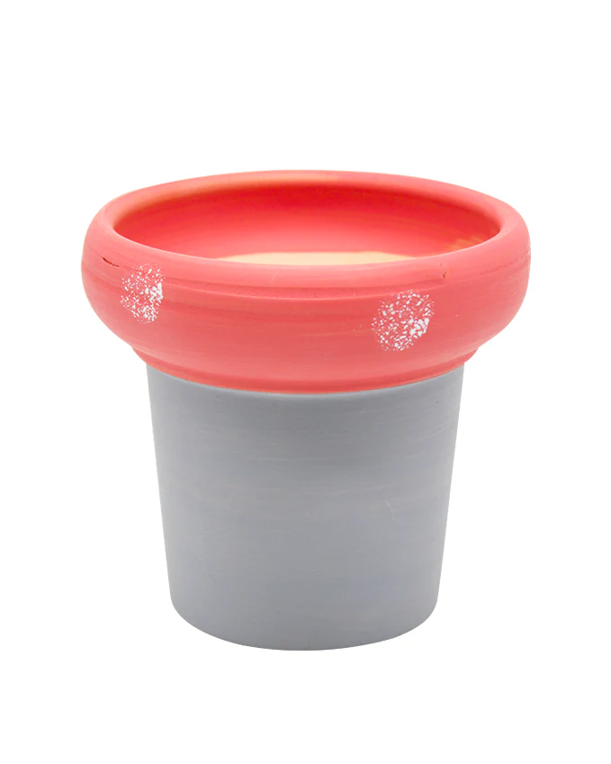 Mushroom - Image 3