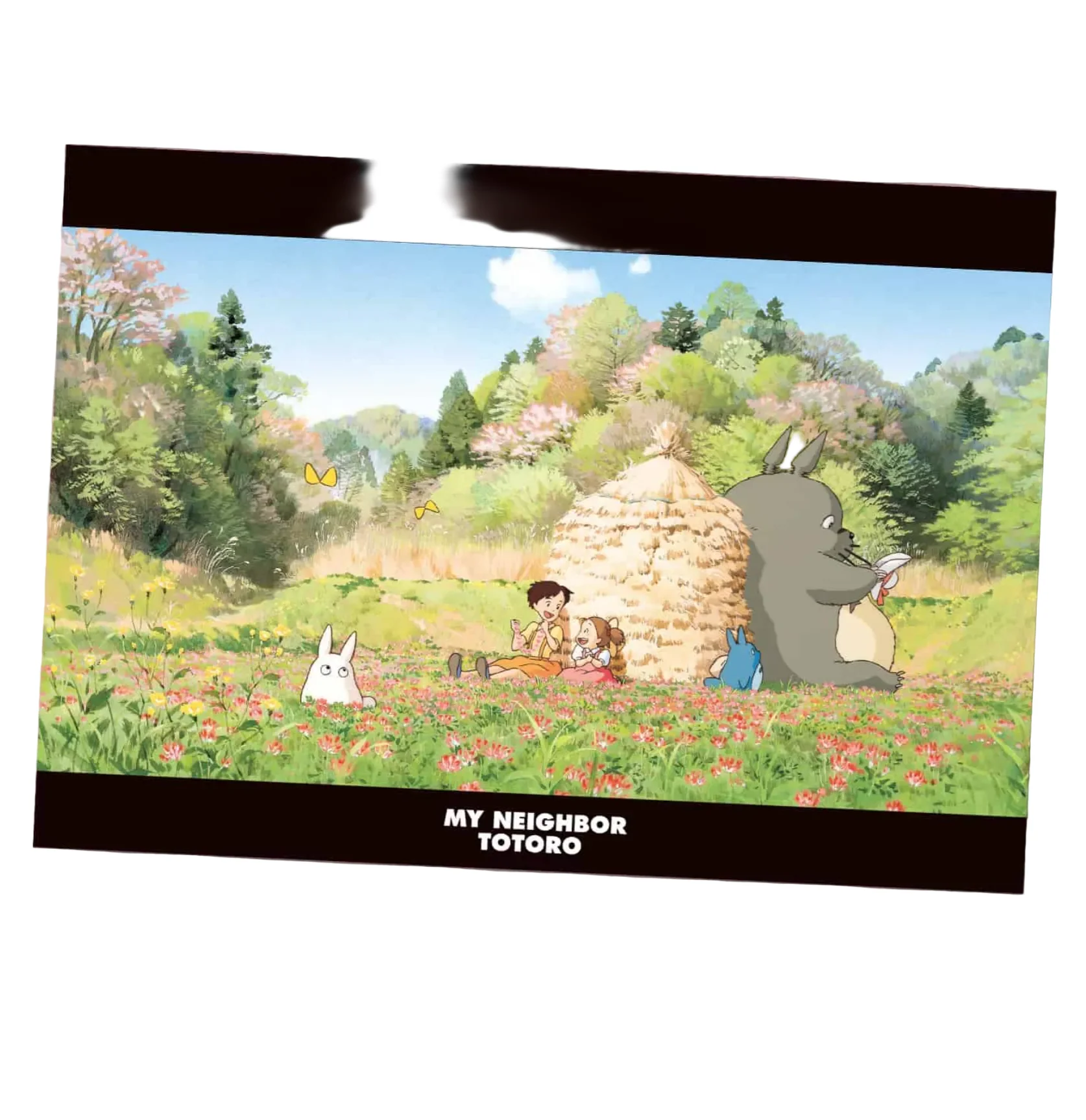 Ghibli - My Neighbor Totoro A4 Clear Document Folder