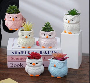 Owl Family Colored Planter